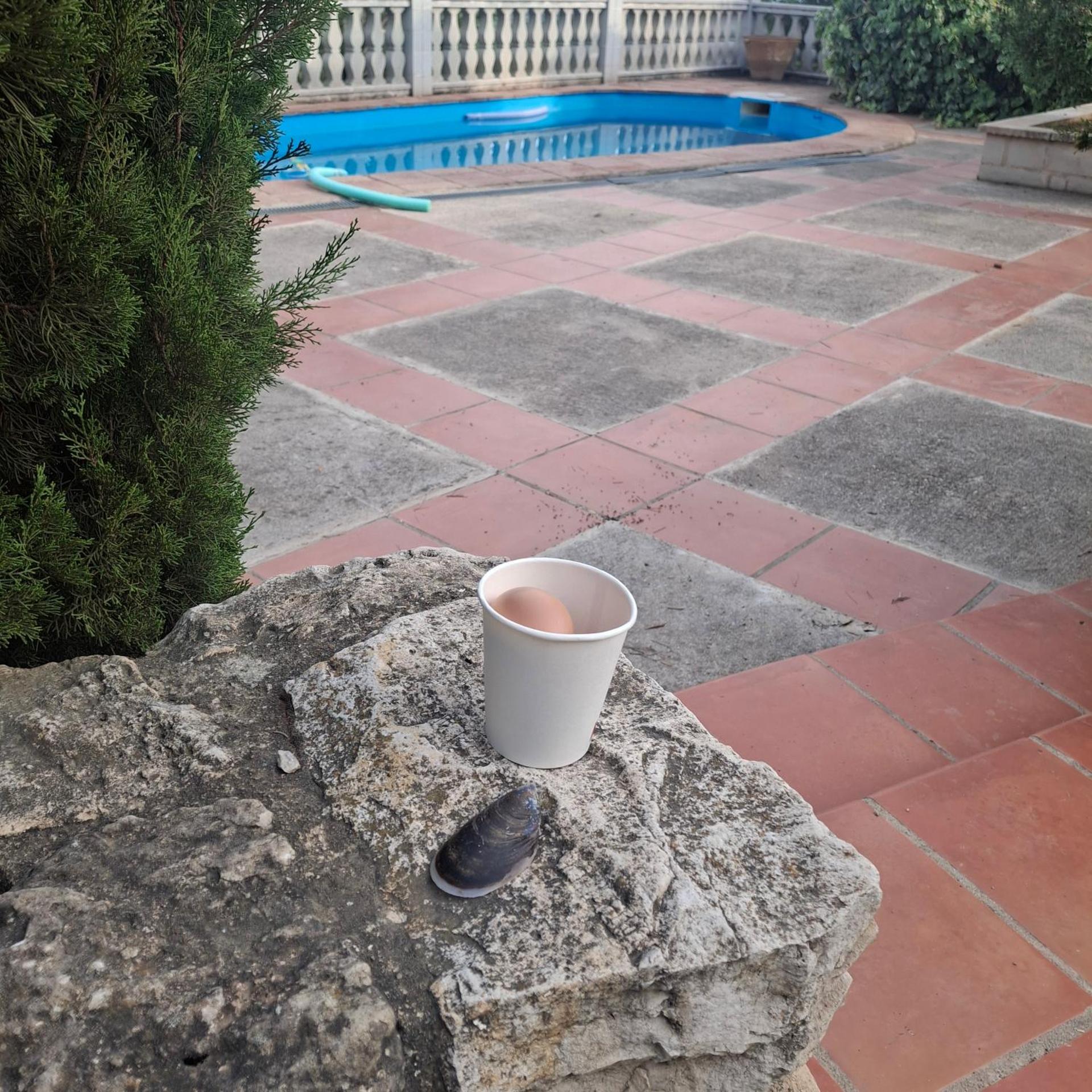 La Muntanera - Eco Yurt - Pool, Nature retreat