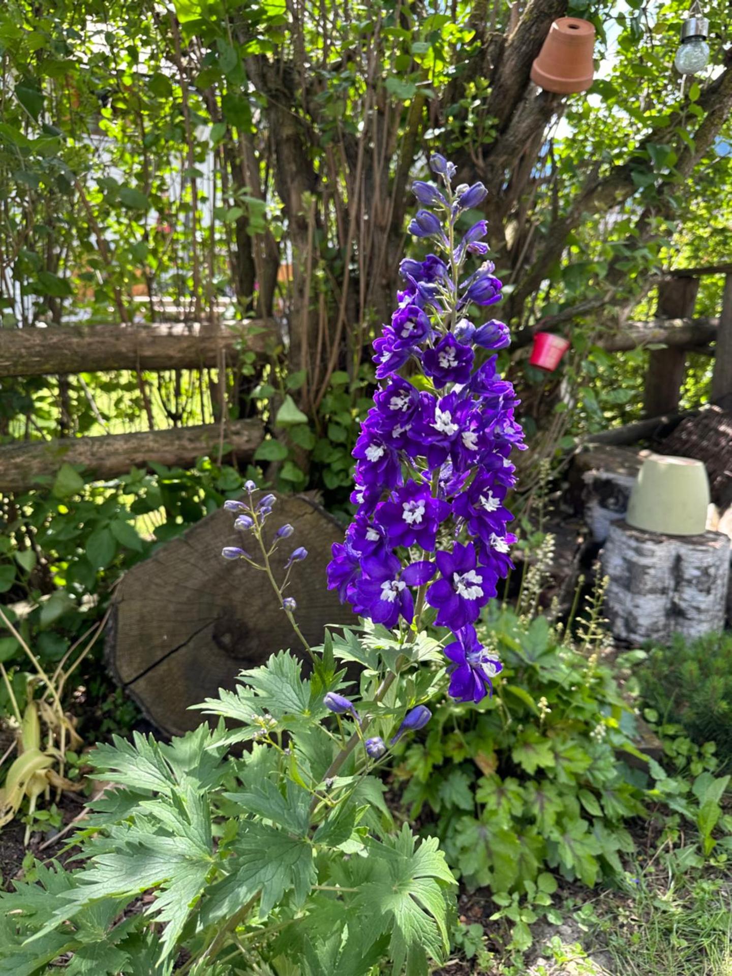 Hotel Landhaus Lungau