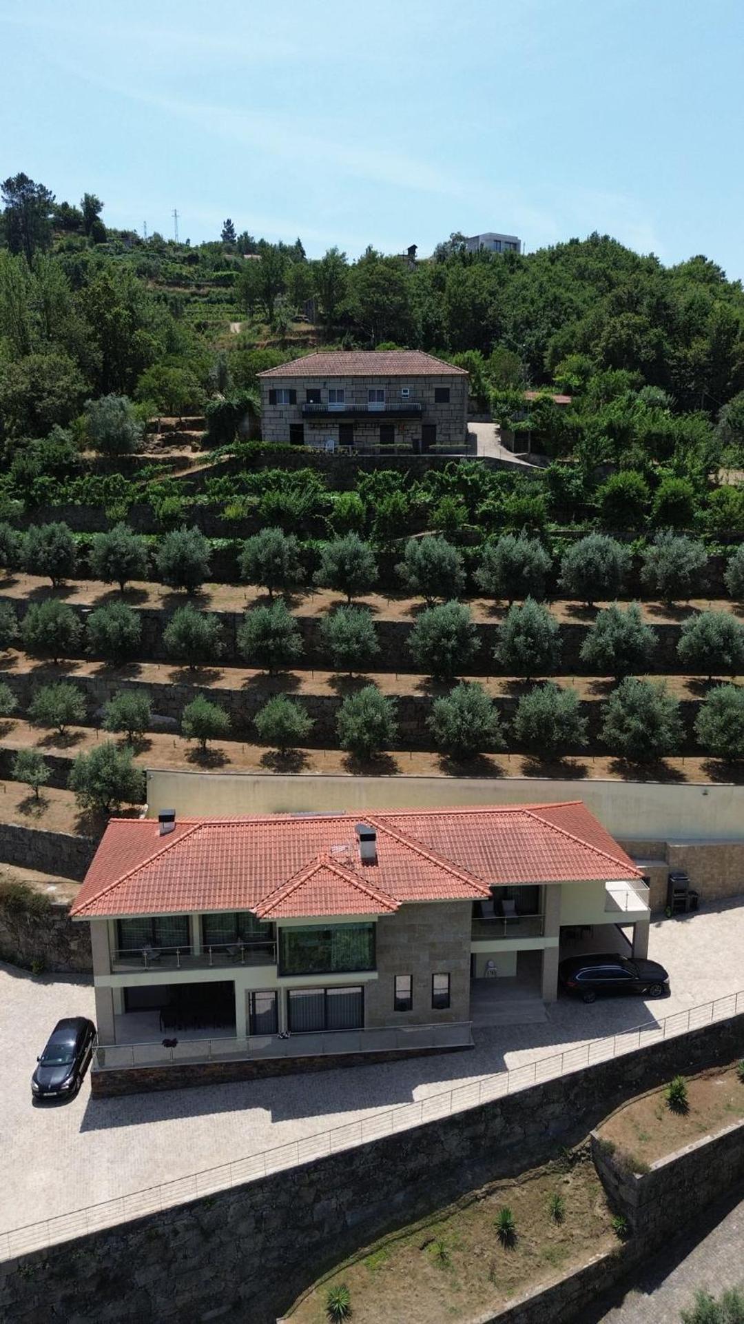 Casa das Oliveiras, o Douro no seu esplendor!