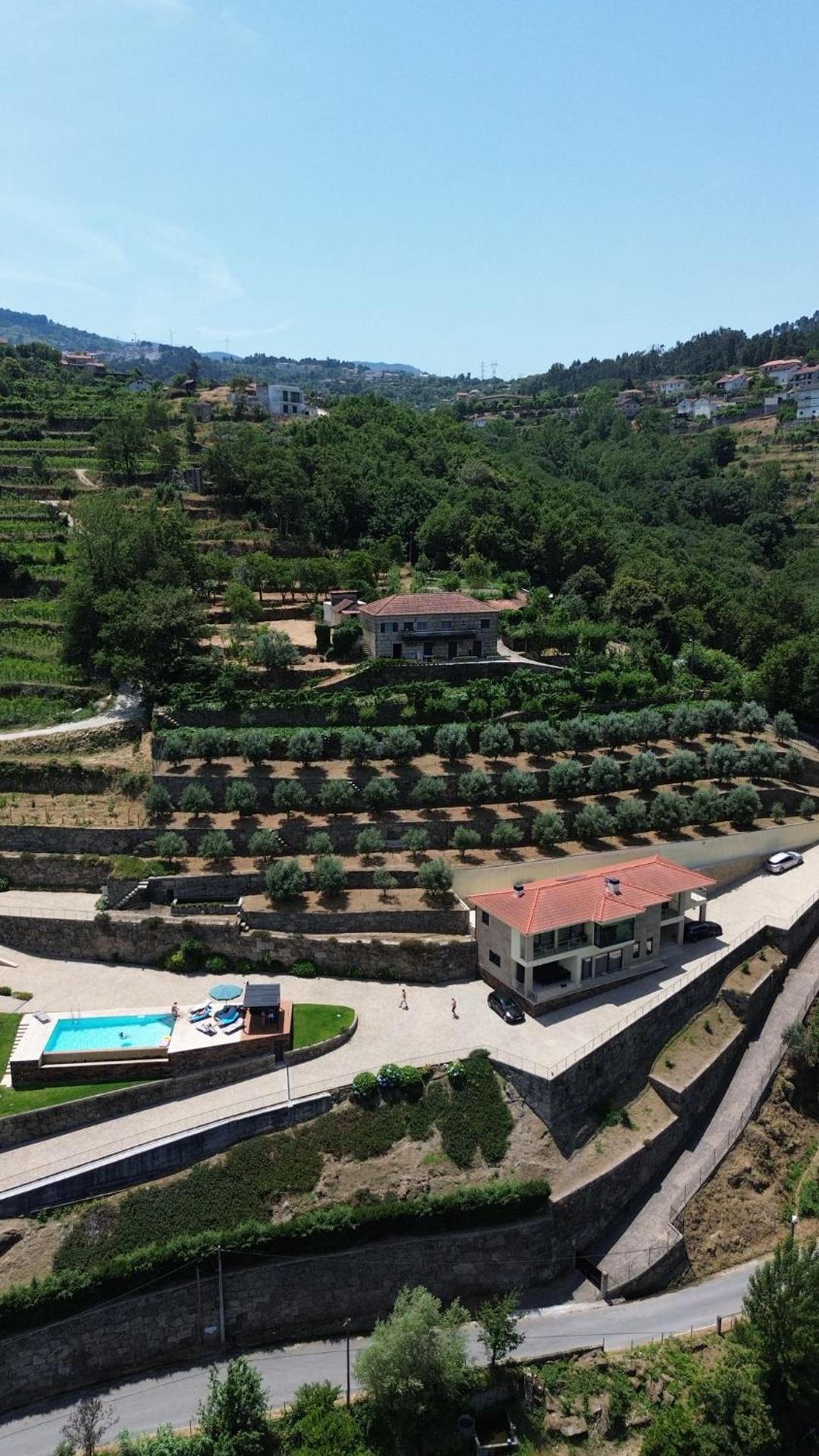 Casa das Oliveiras, o Douro no seu esplendor!