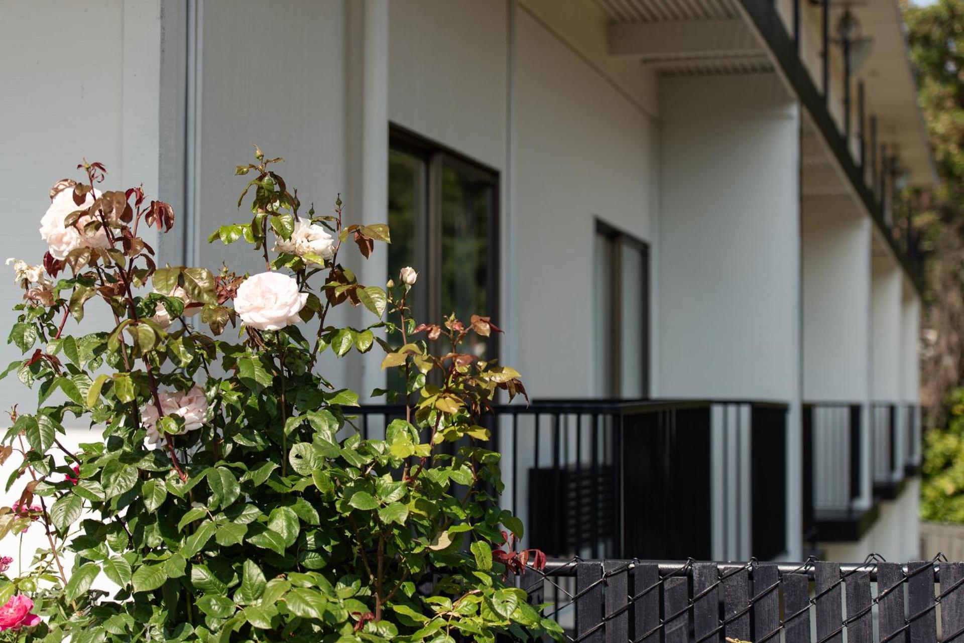 Oyster Bay Inn & Suites