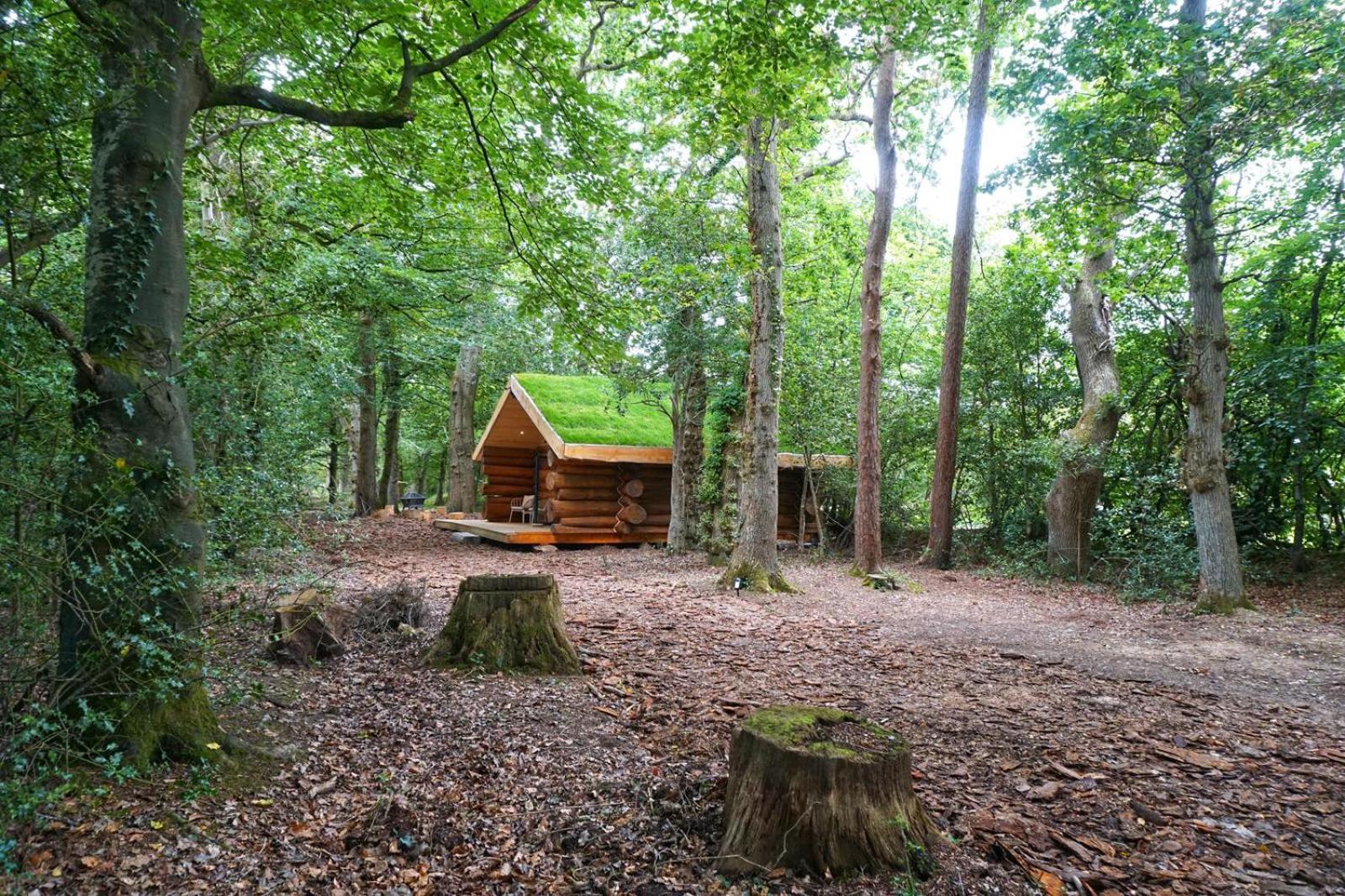 Secluded Hand Crafted Log Cabin