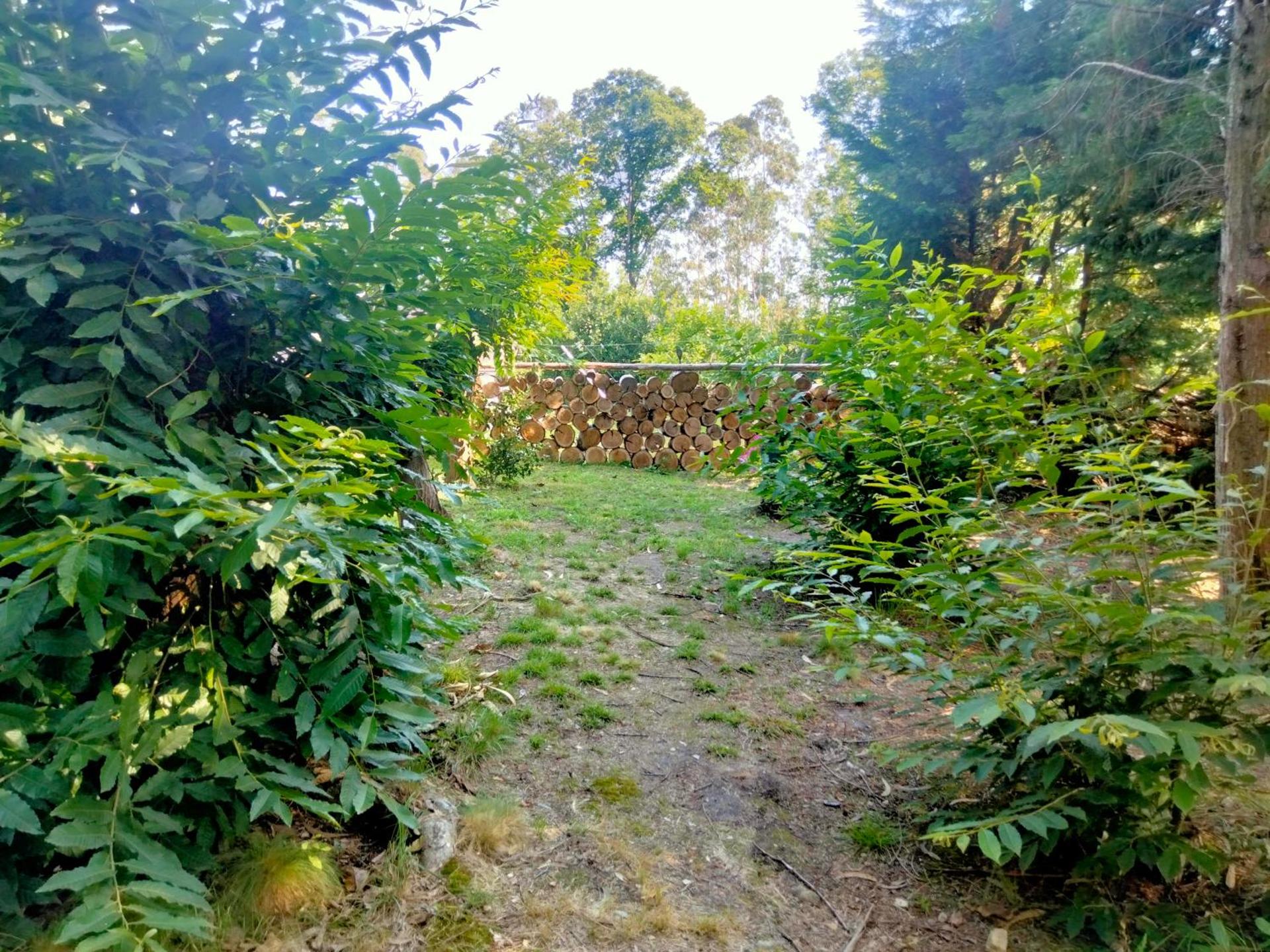 La Finca - Campamento en la Naturaleza