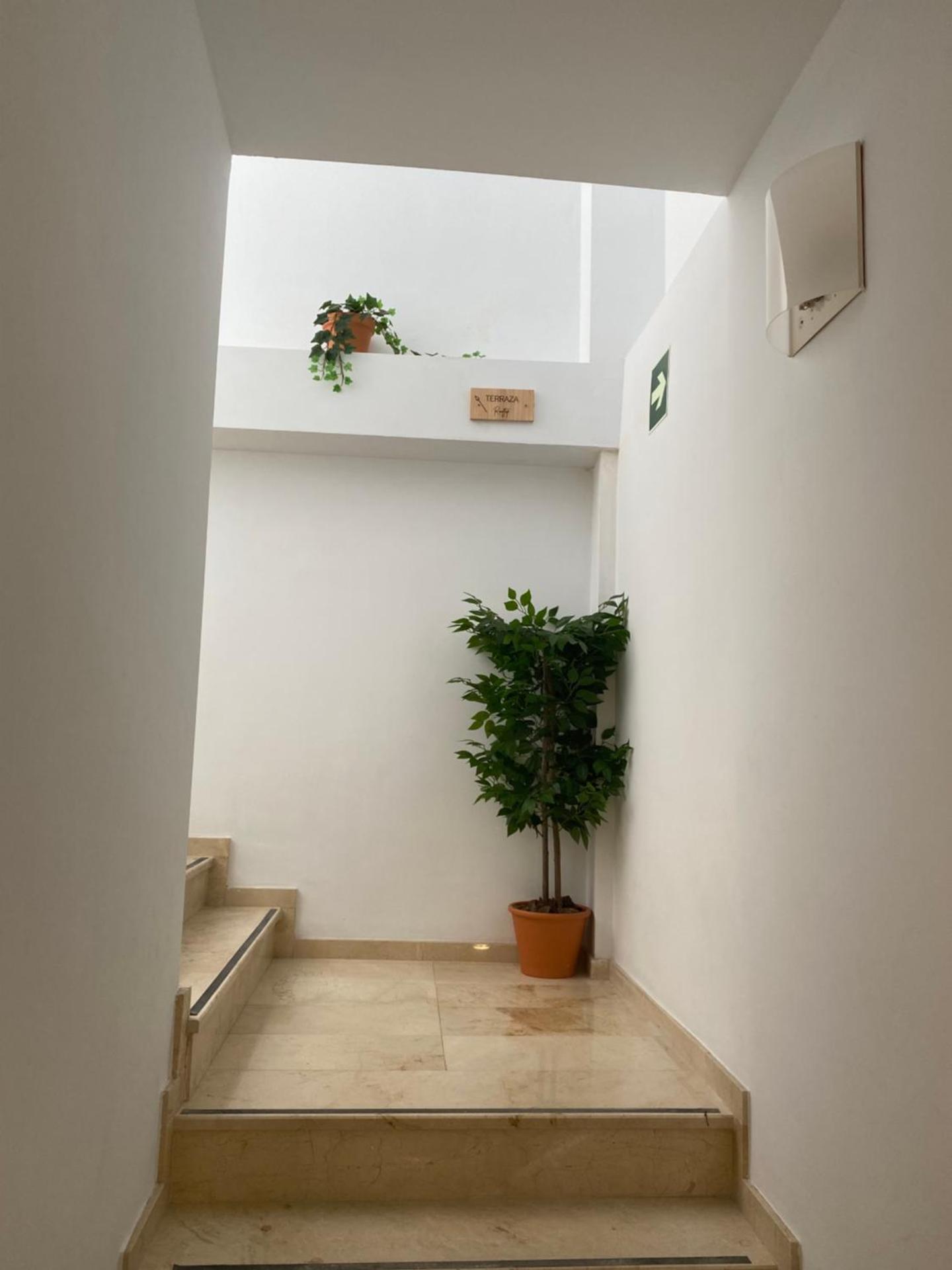 ALZIRA BONiTA LES BARRAQUES LOFT