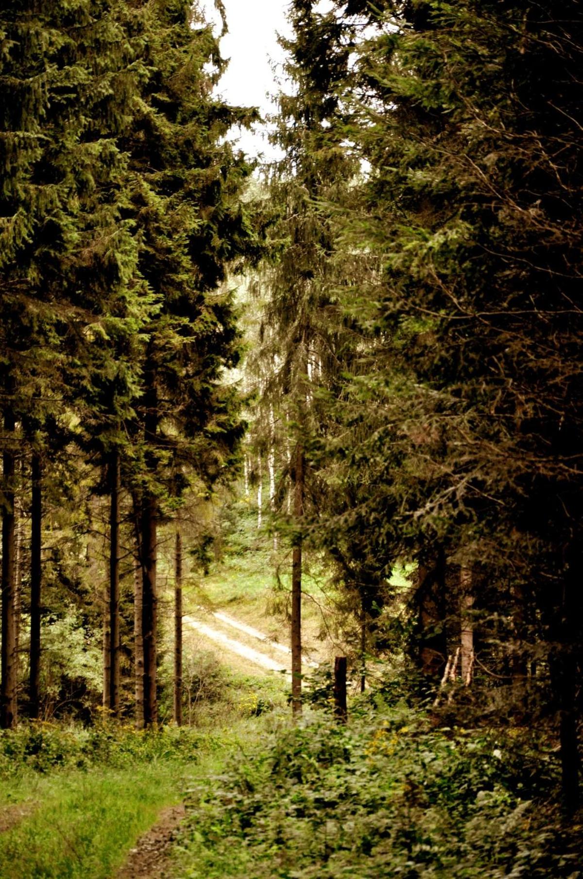 Apartament w Bieszczadach - Willa Stasia