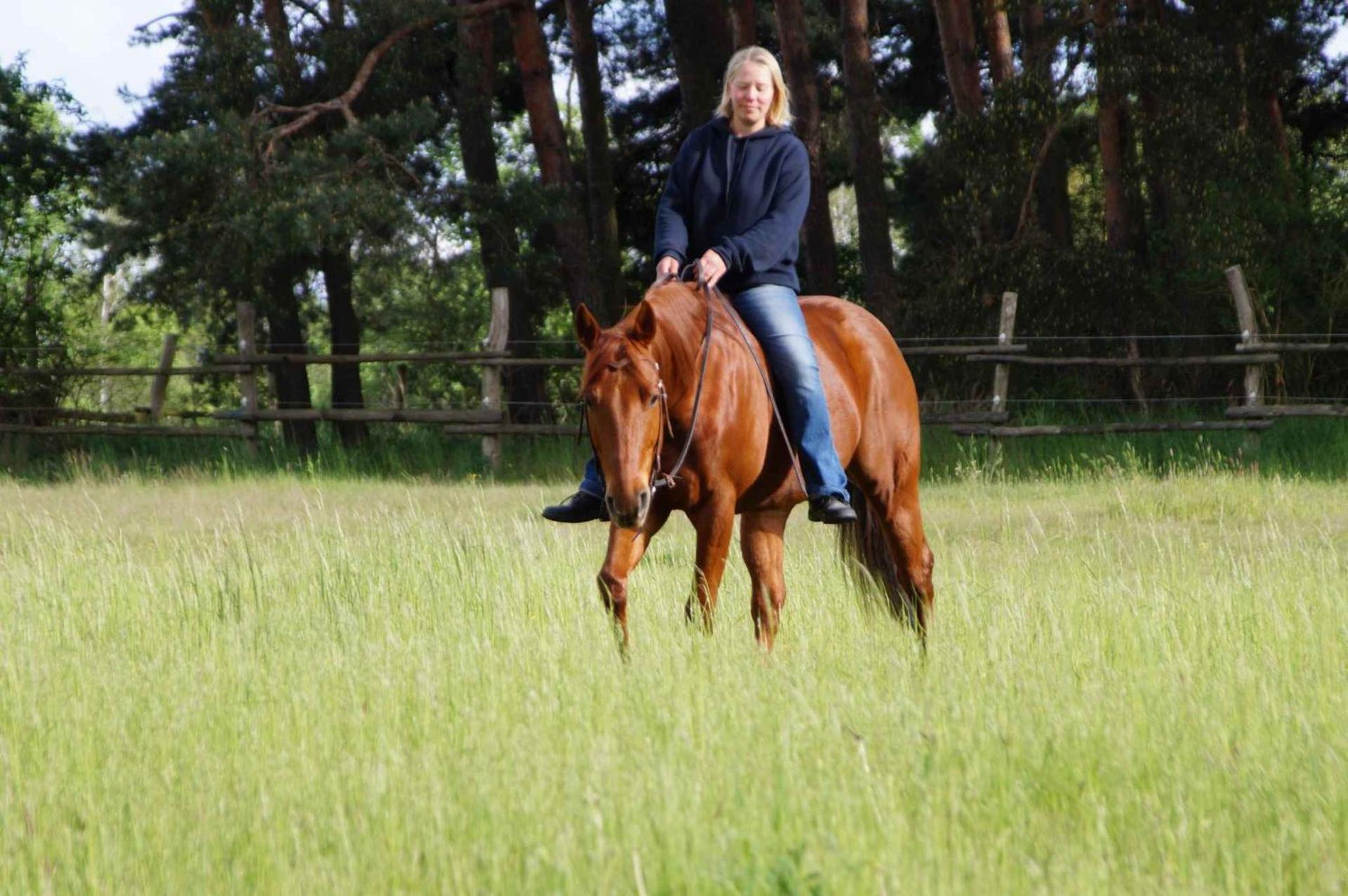 Apartments in Lübben Spreewald 26522