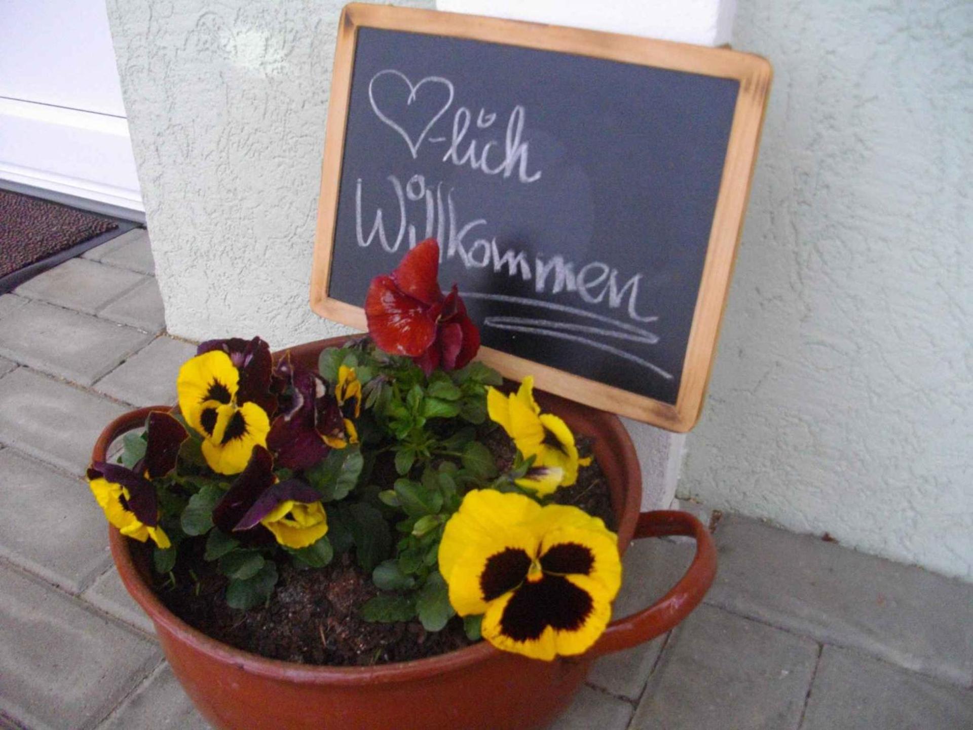 Apartments in Lübben Spreewald 26522