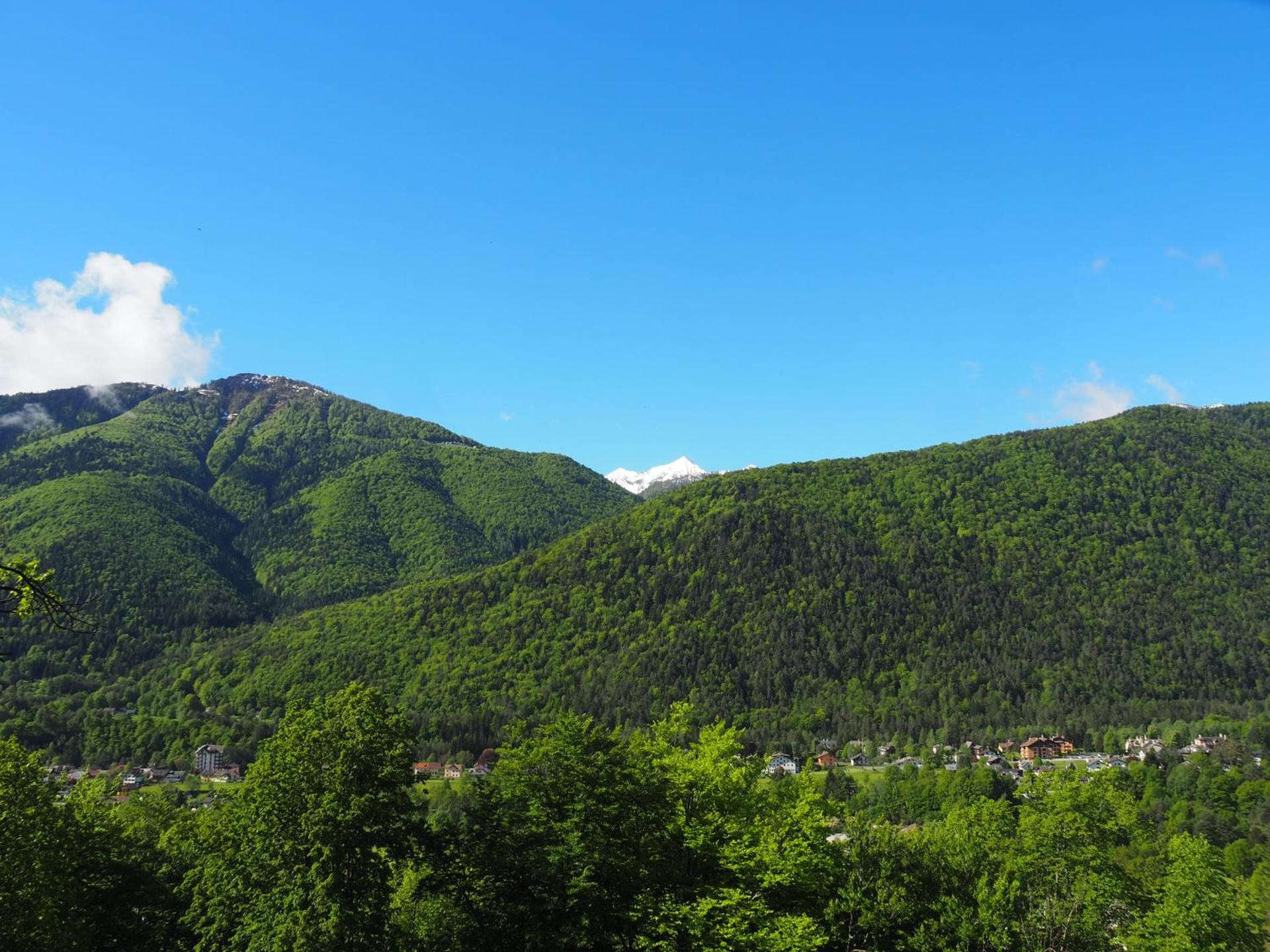 View (from property/room)