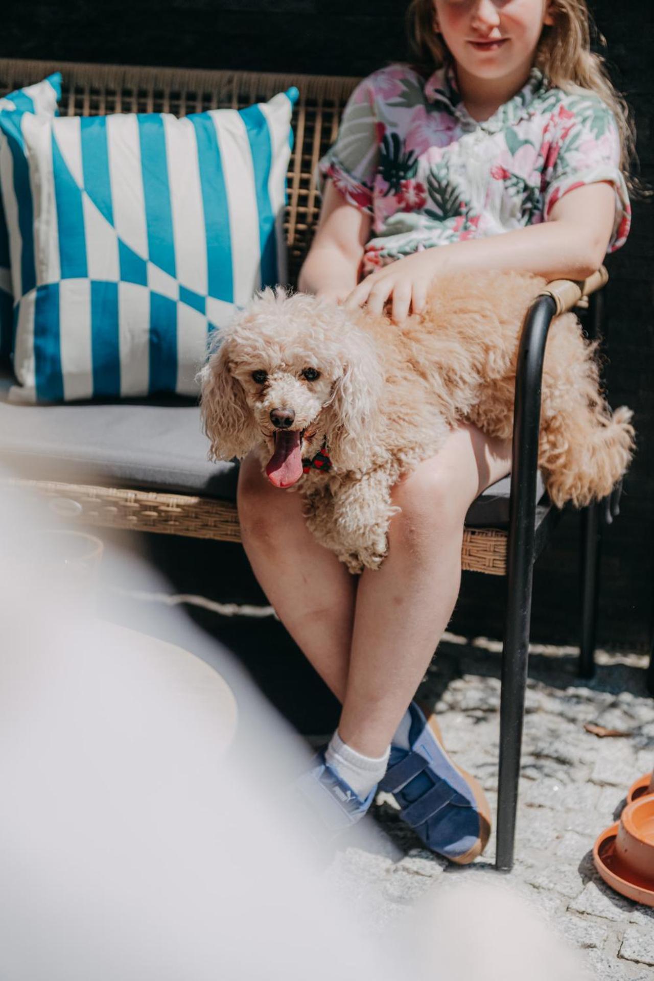 ZAKOZNAMI- Willa WYWCZAS