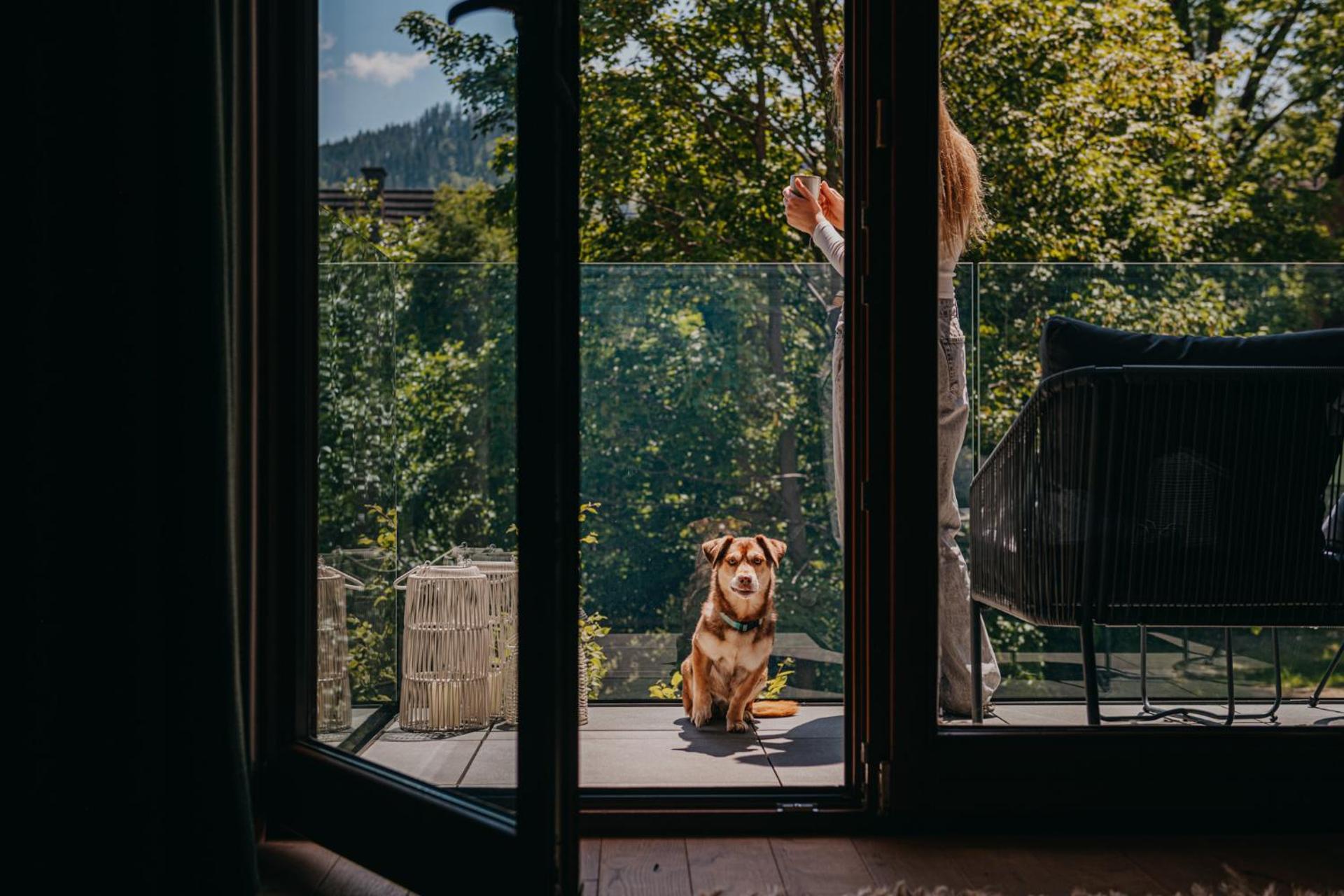 ZAKOZNAMI- Willa WYWCZAS