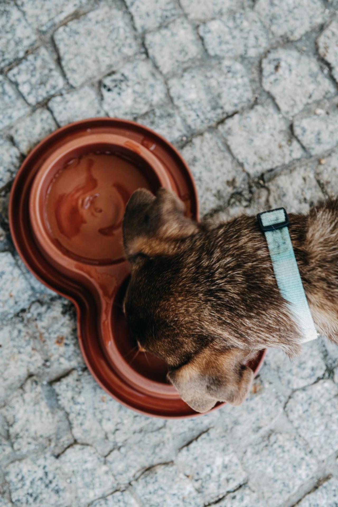 ZAKOZNAMI- Willa WYWCZAS