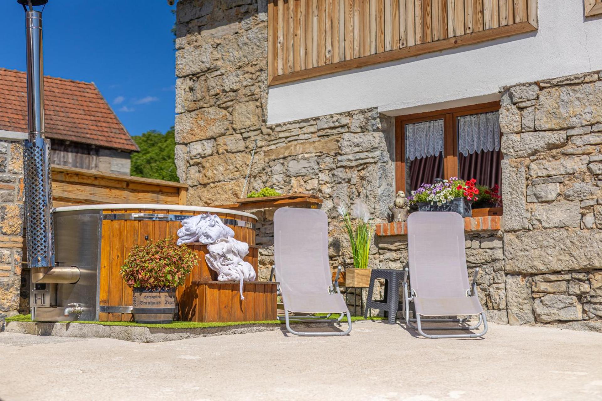 Old house Rustica with pool, jacuzzi and tavern - Valincic