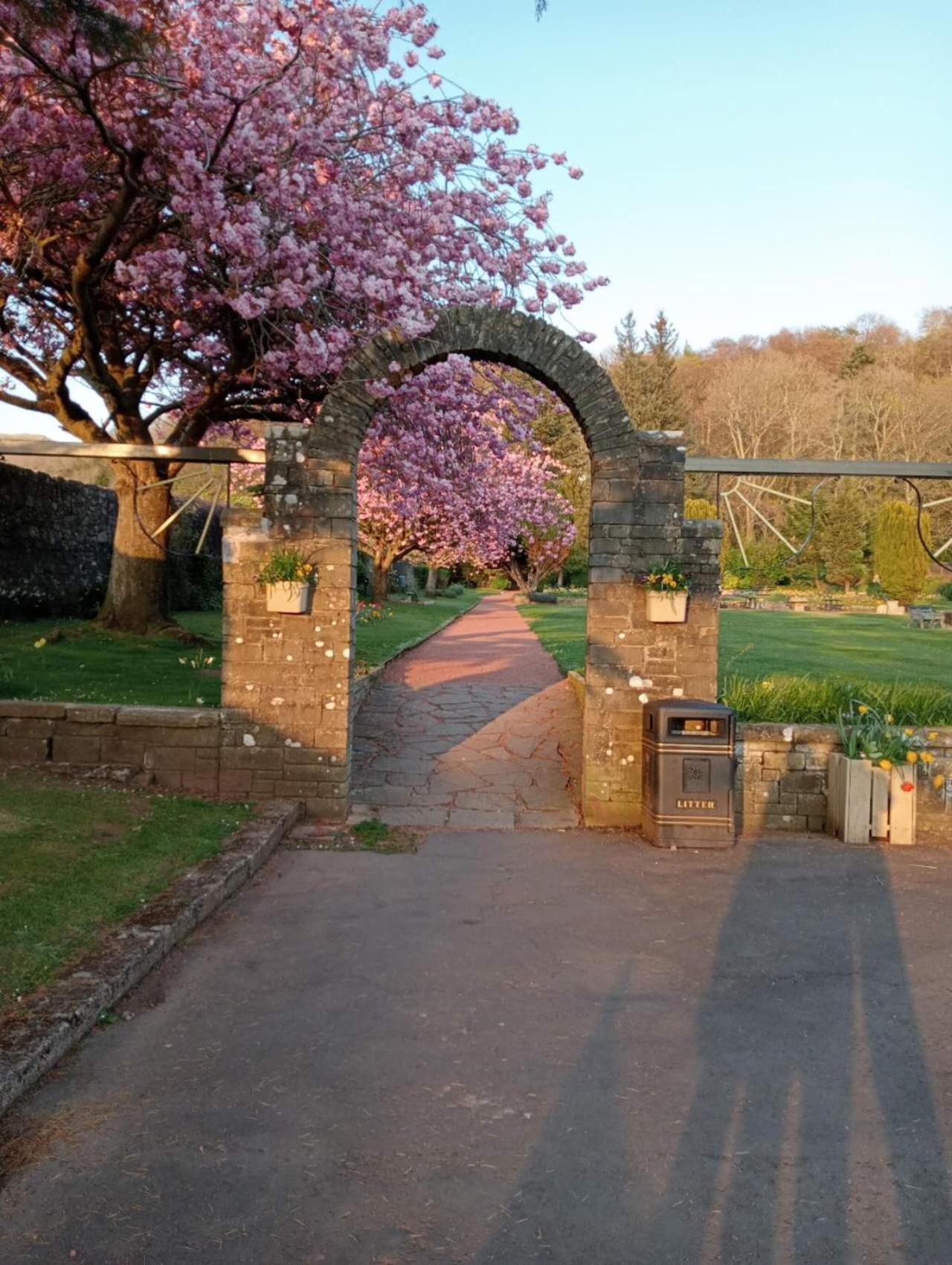 Quiet Street's Flat with free Parking near Town Centre