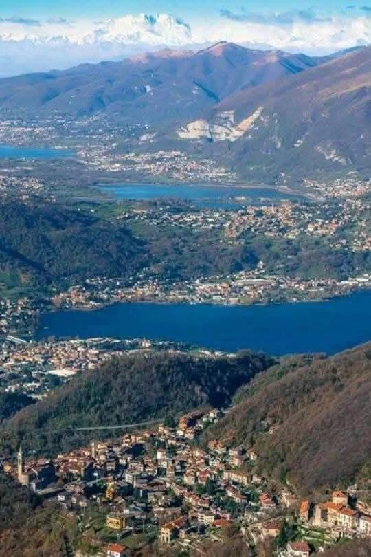 L'Incanto dell'Airone