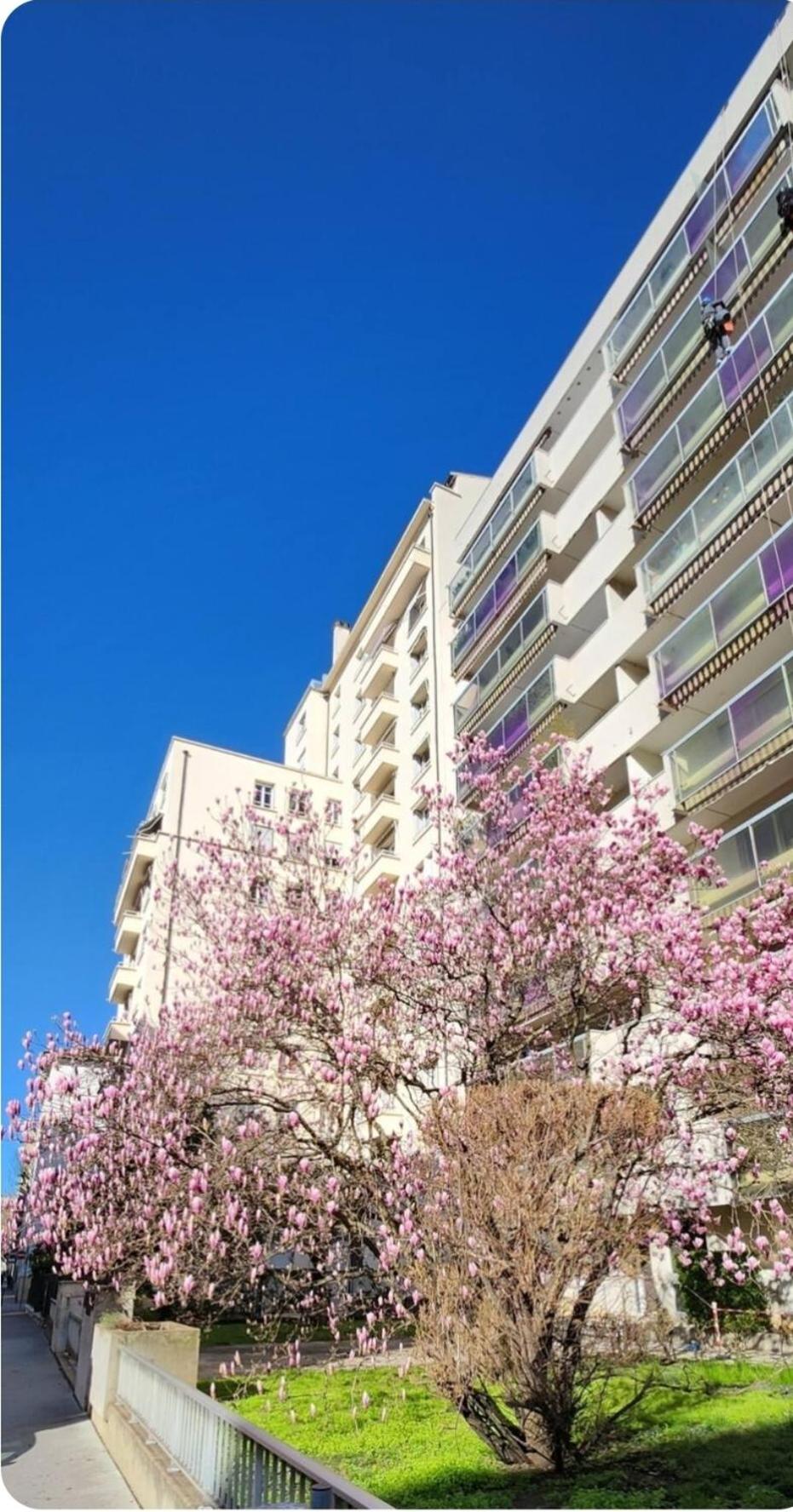 PLEIN SUD Terrasse Garage Netflix Climatisation