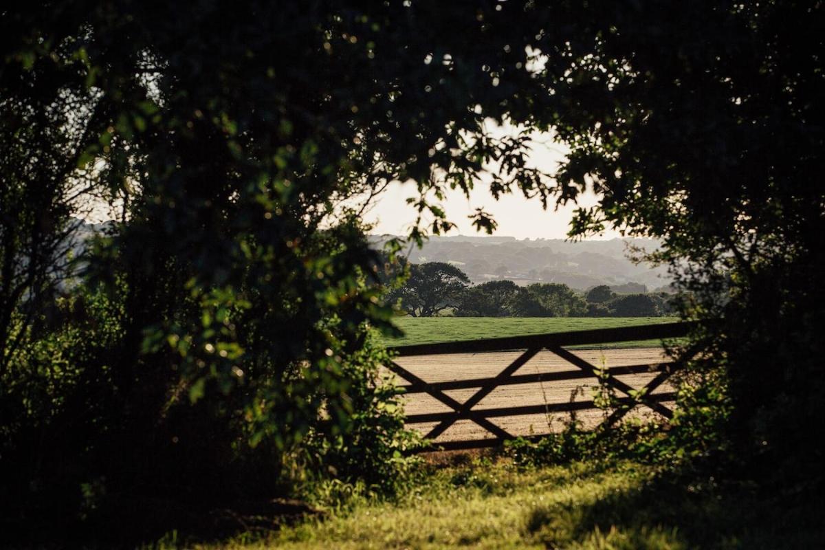 The Little Retreat, Pembrokeshire