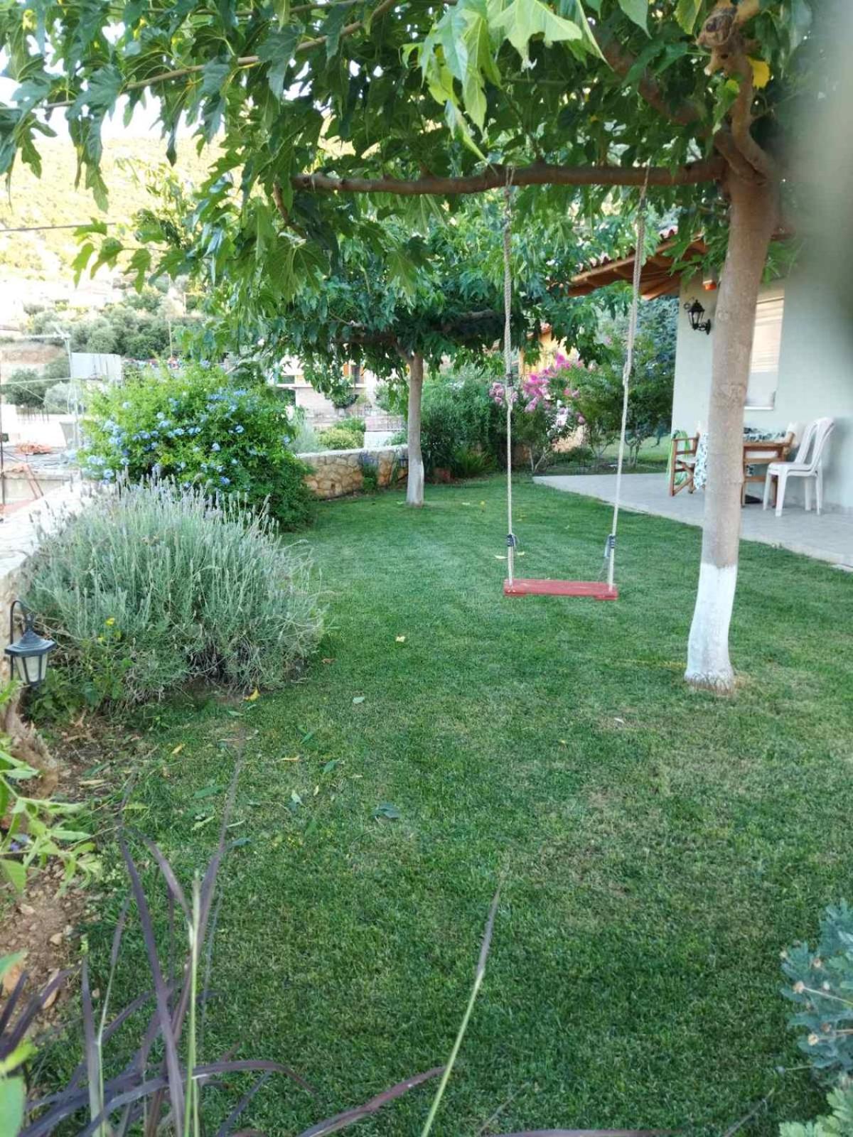 ''Shinohori'' Olive-Tree Apartment