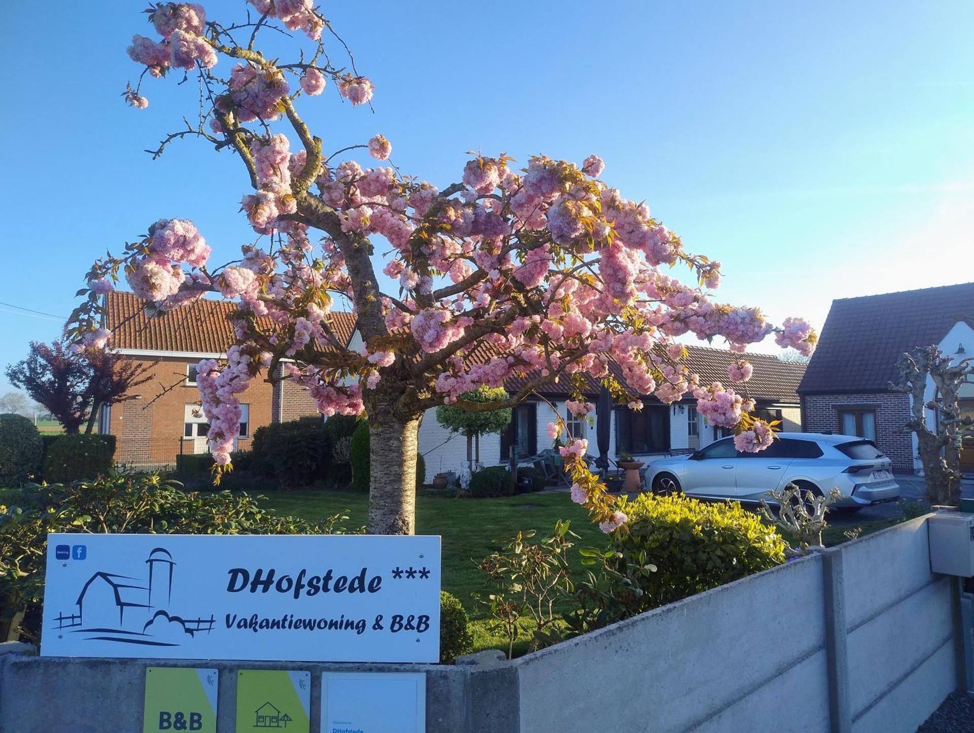 Inner courtyard view