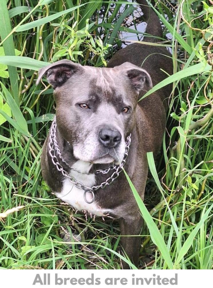 Canal Garden Apartment StayWell Amsterdam