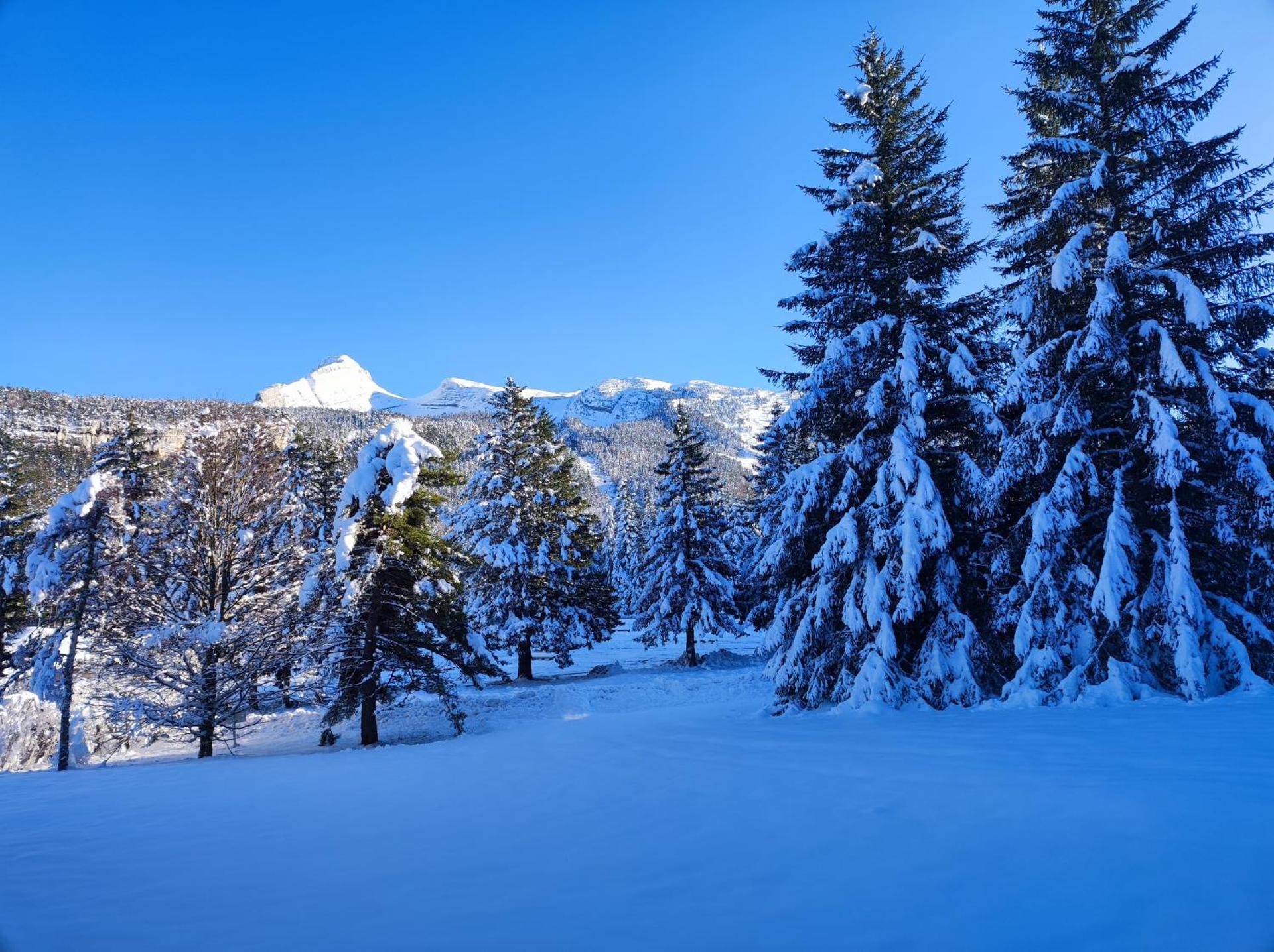 Studio avec vue montagne au pied des pistes