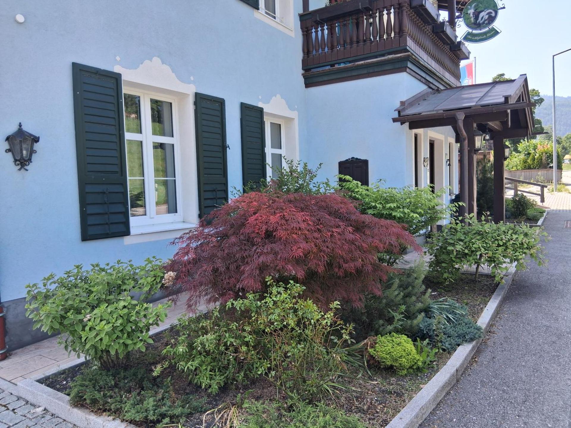 Die schlafende Goass