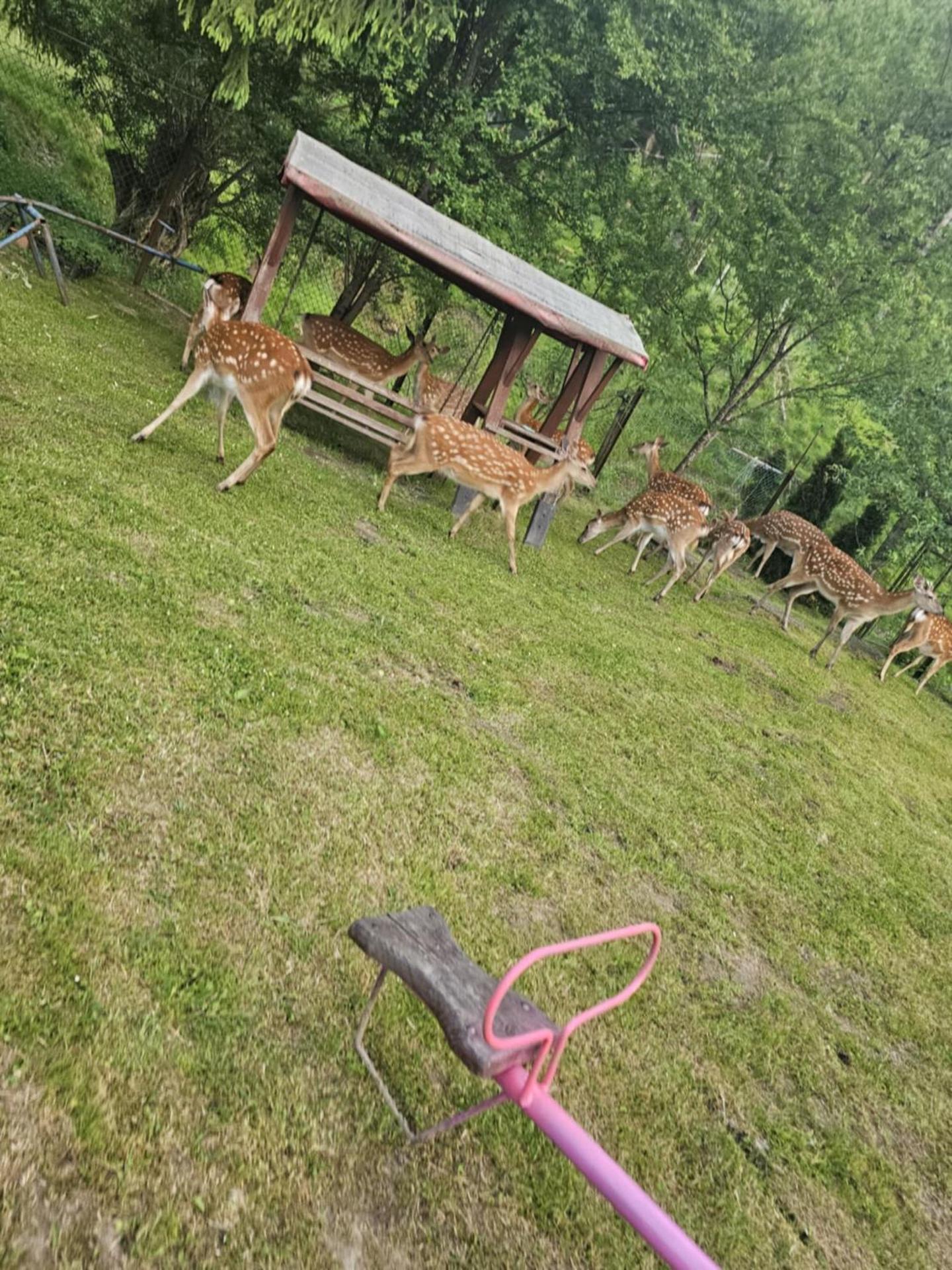 Restauracja Hotel Koło do Wozu