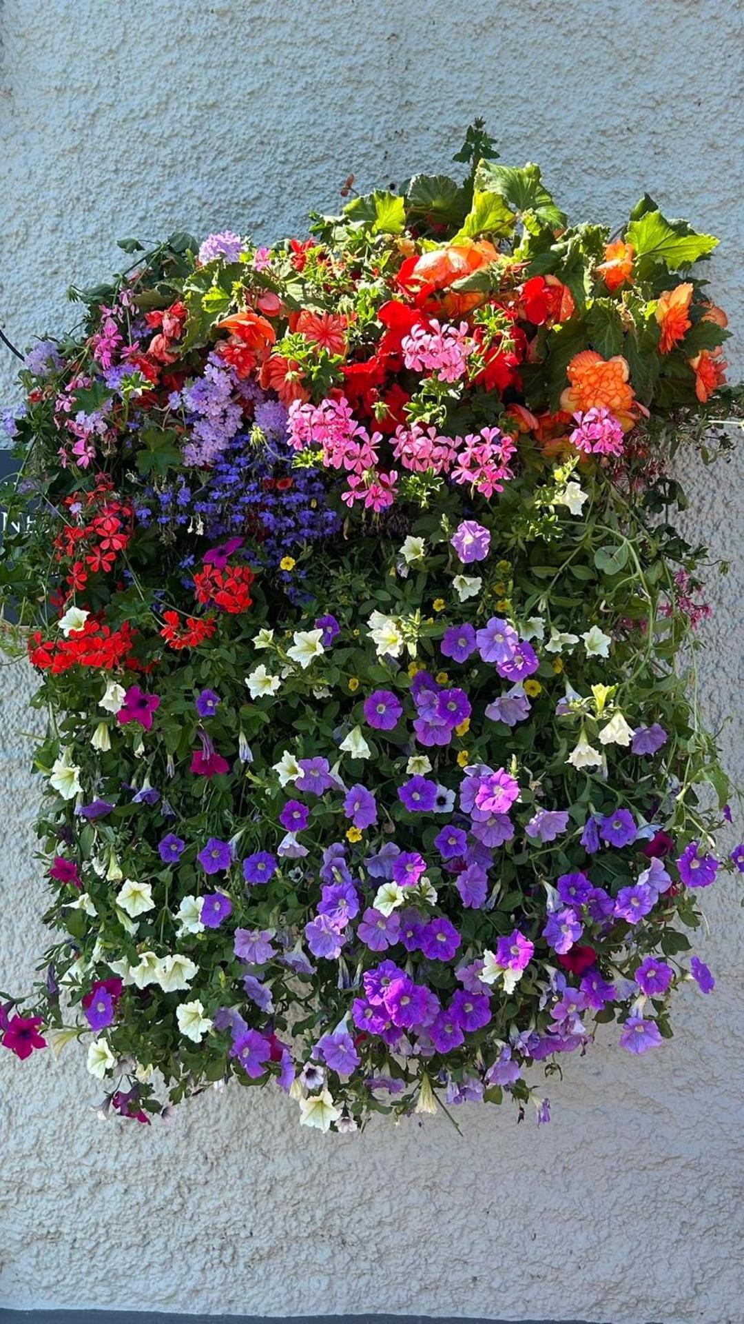 Madelines Accommodation