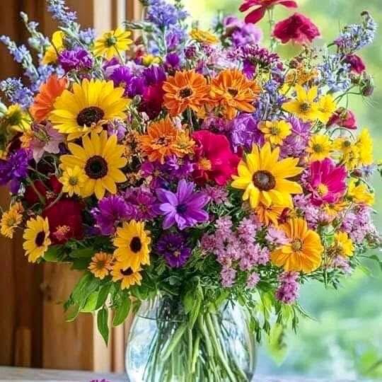 Vous viendrez vivre ici 2 pièces lavandes garage à moto