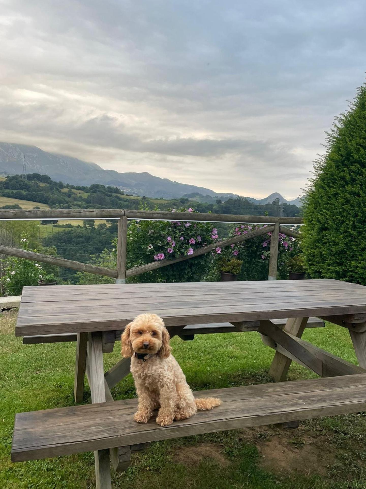 Casa Rural Los Abuelos