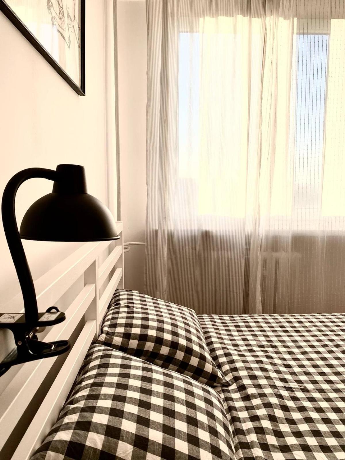 Comfortable and large apartment