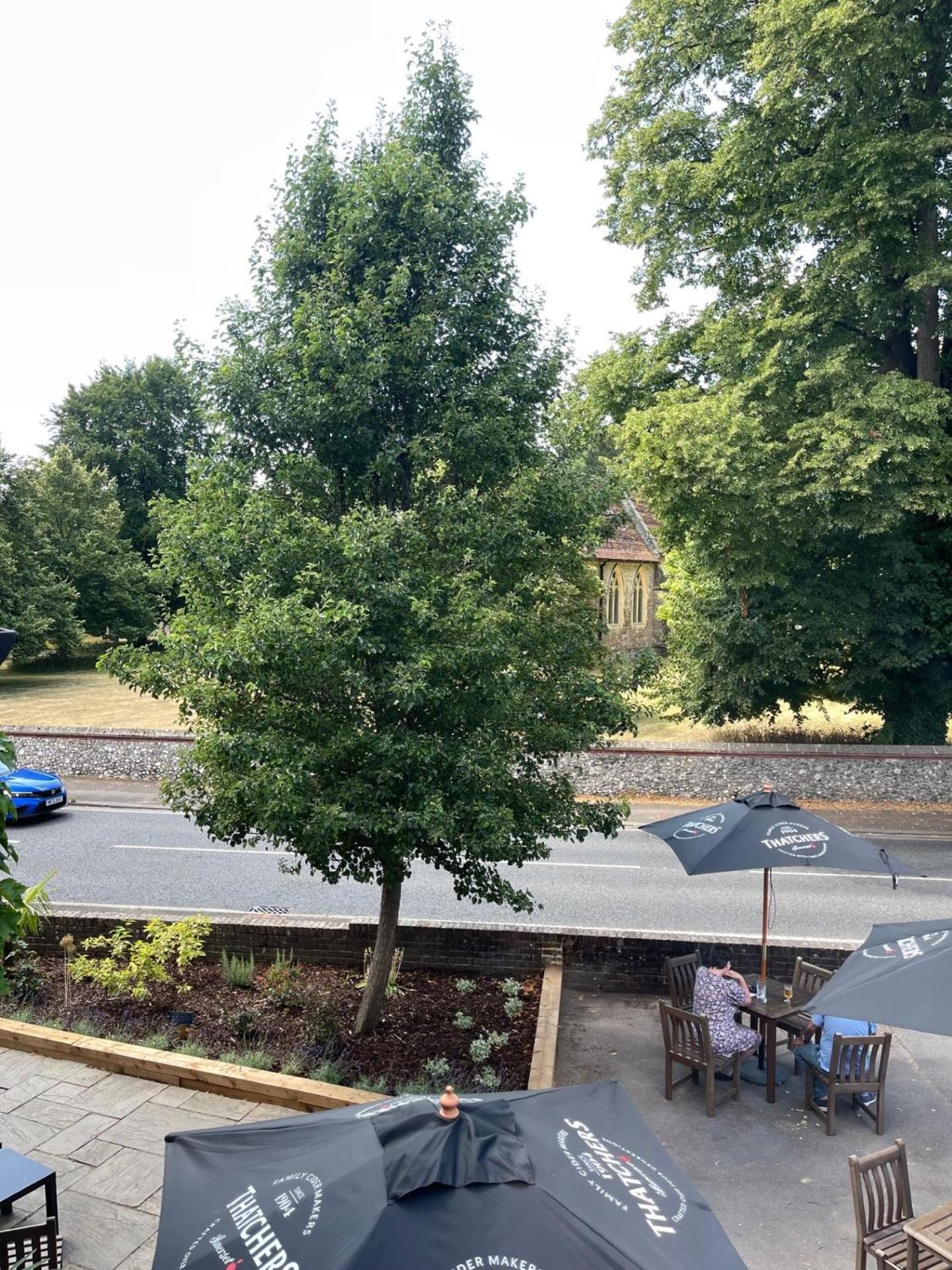 View (from property/room)