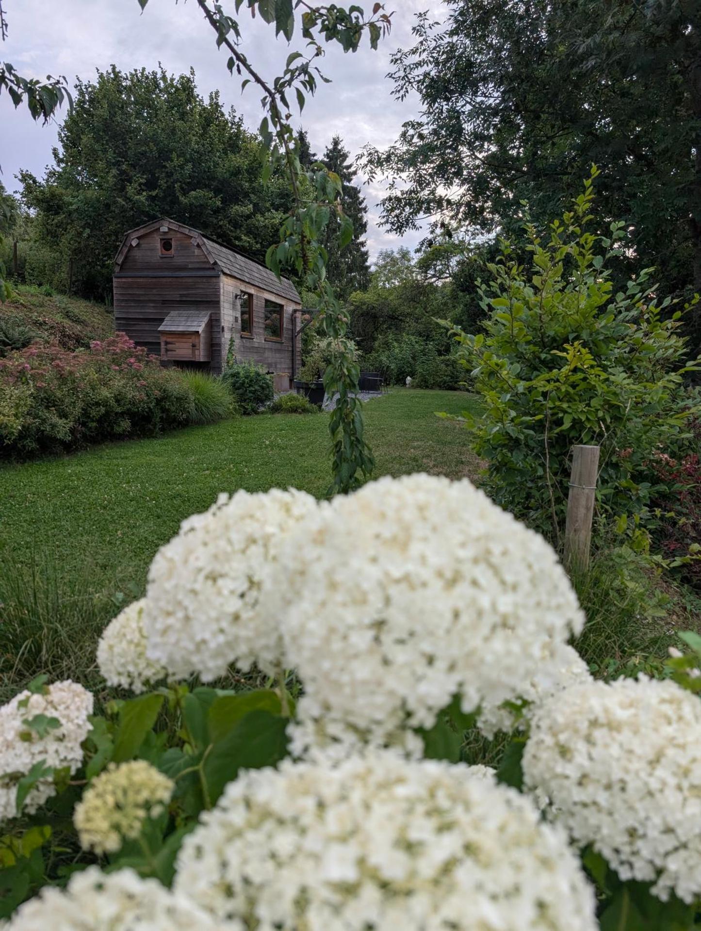 Tiny Messancy, une immersion dans la nature !