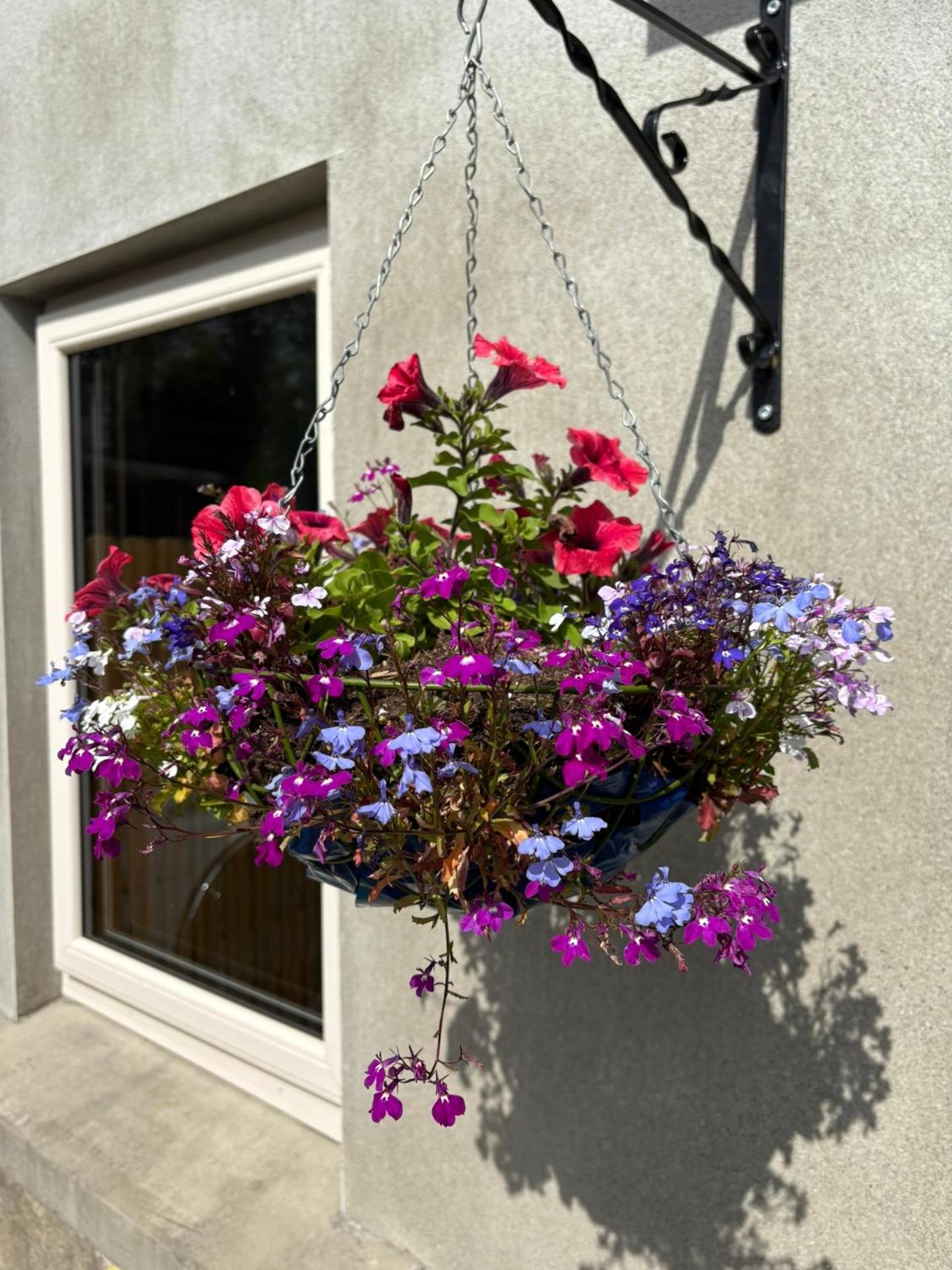 Killarney Old School Road sleeps 6