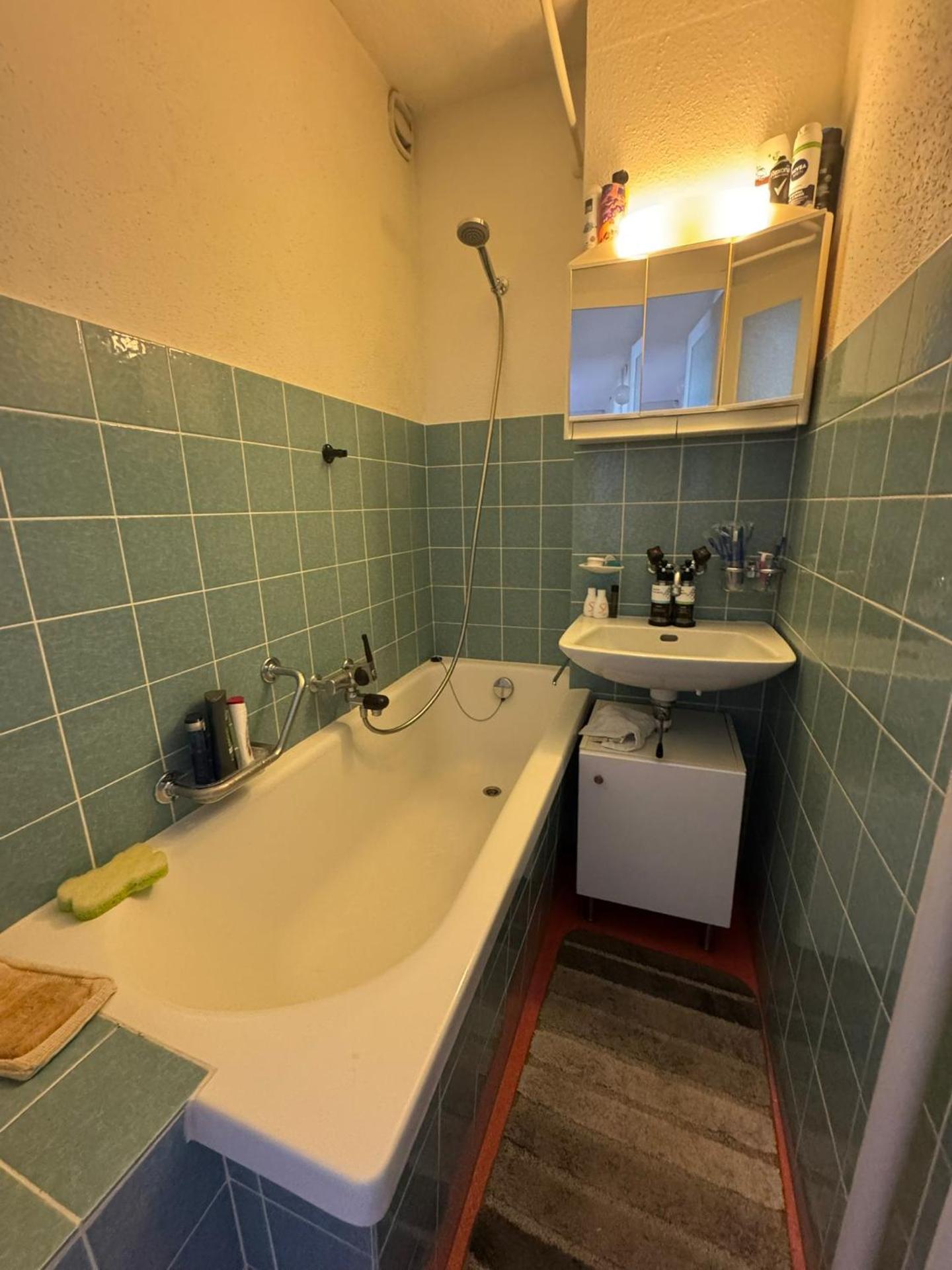 Rustic lakeside gem with rooftop looking to Zurich see