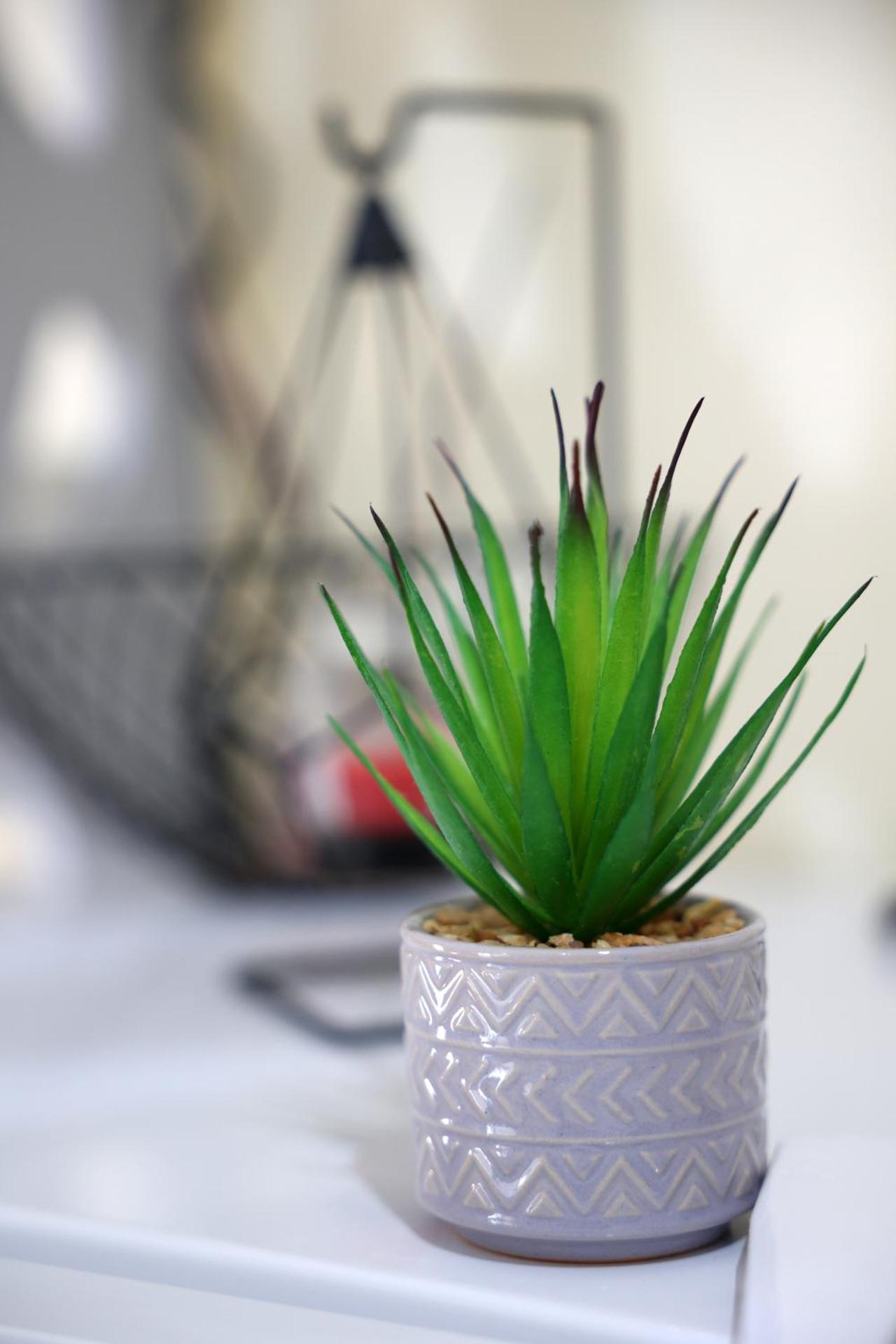 The heart of Aegina 4