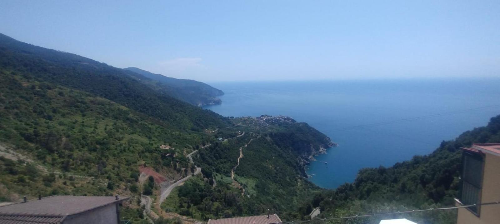 Rosmarino, Cinque Terre
