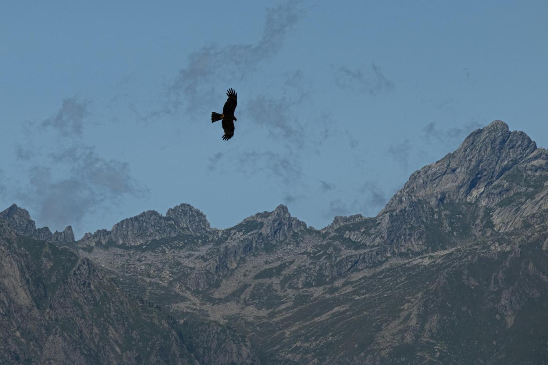 ROSINA HOUSE e CHALET