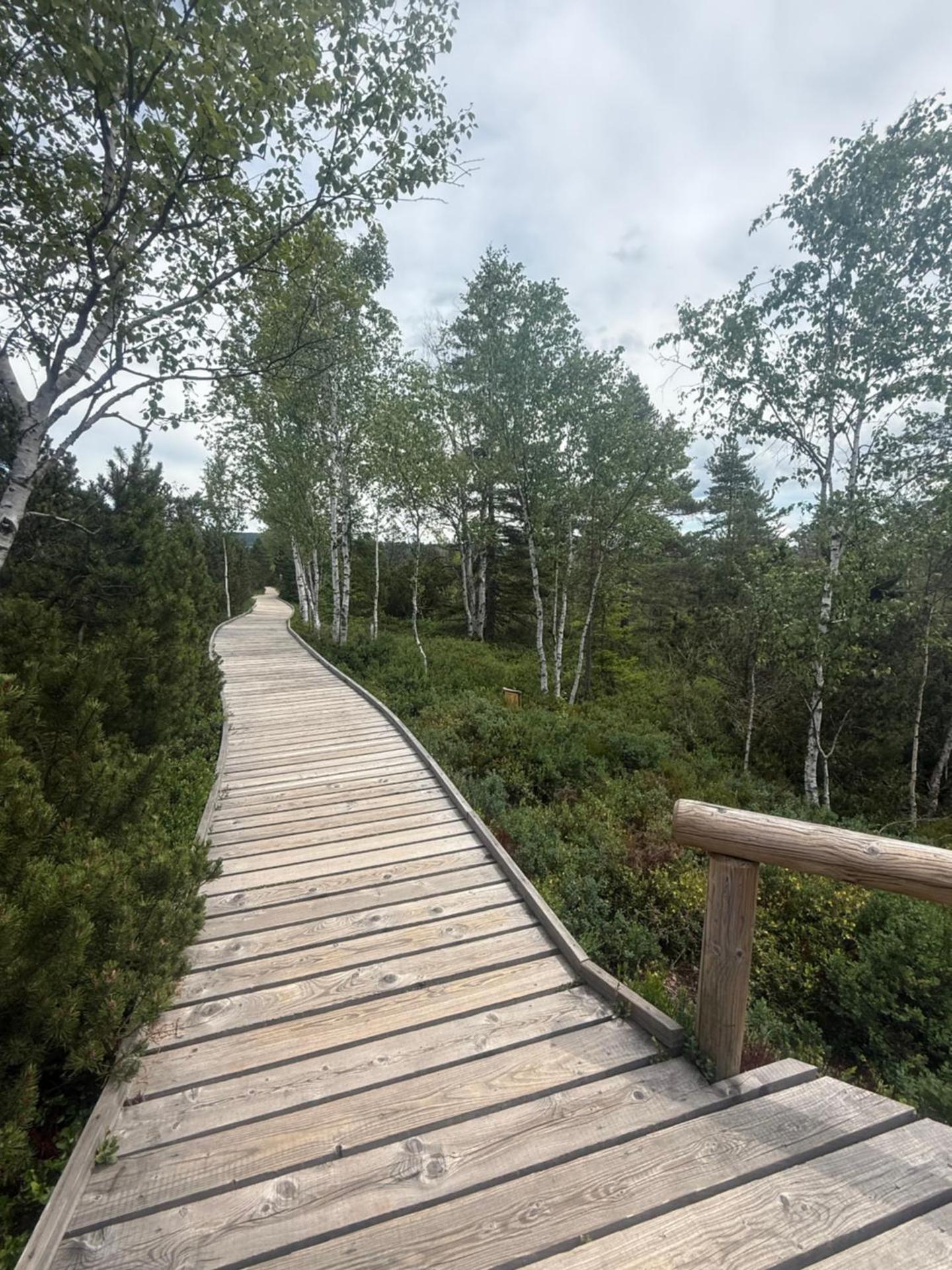 Apartmán Nad Údolím Šumava