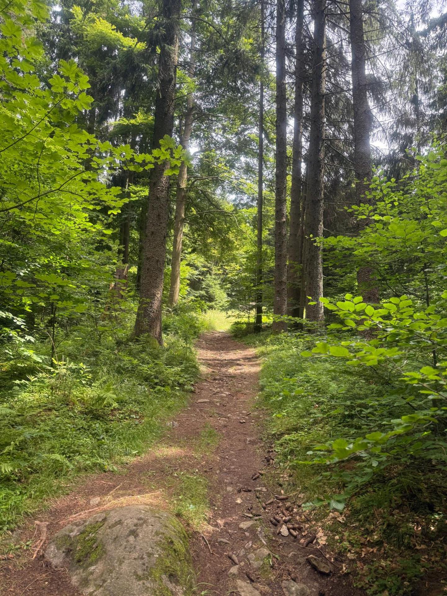 Apartmán Nad Údolím Šumava
