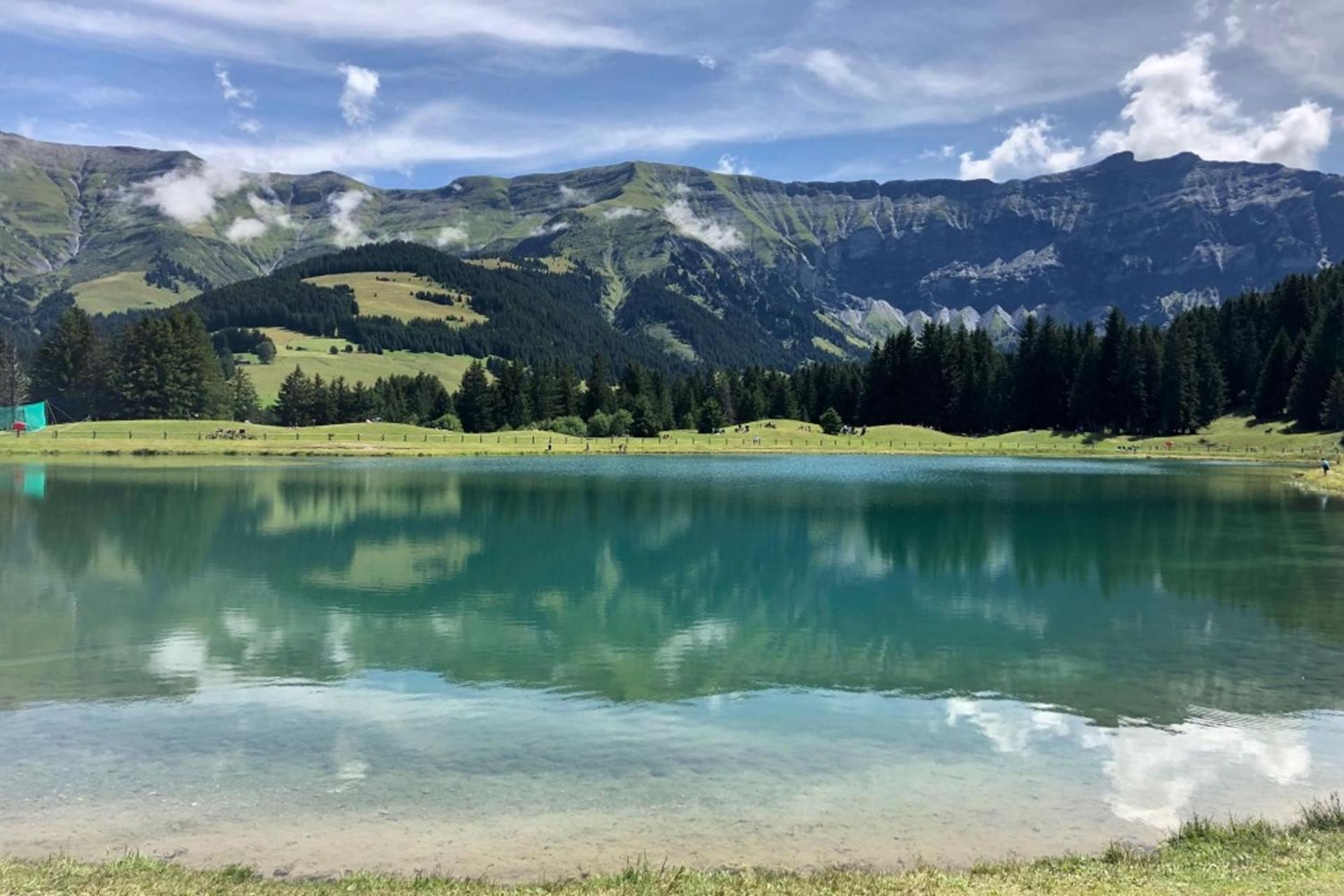 Cozy apartment in Megève