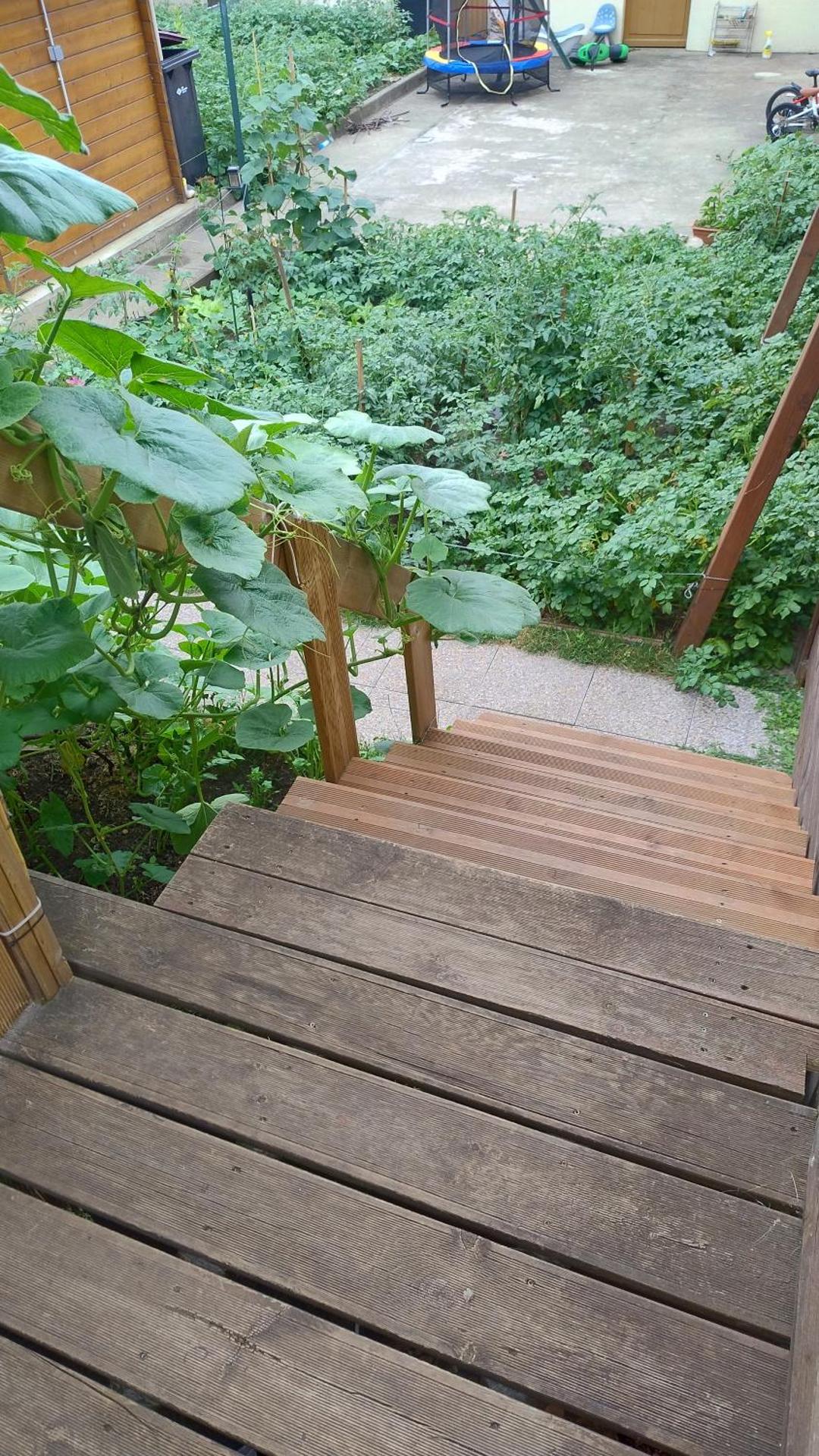 Cozy cottage Paris Suburb!