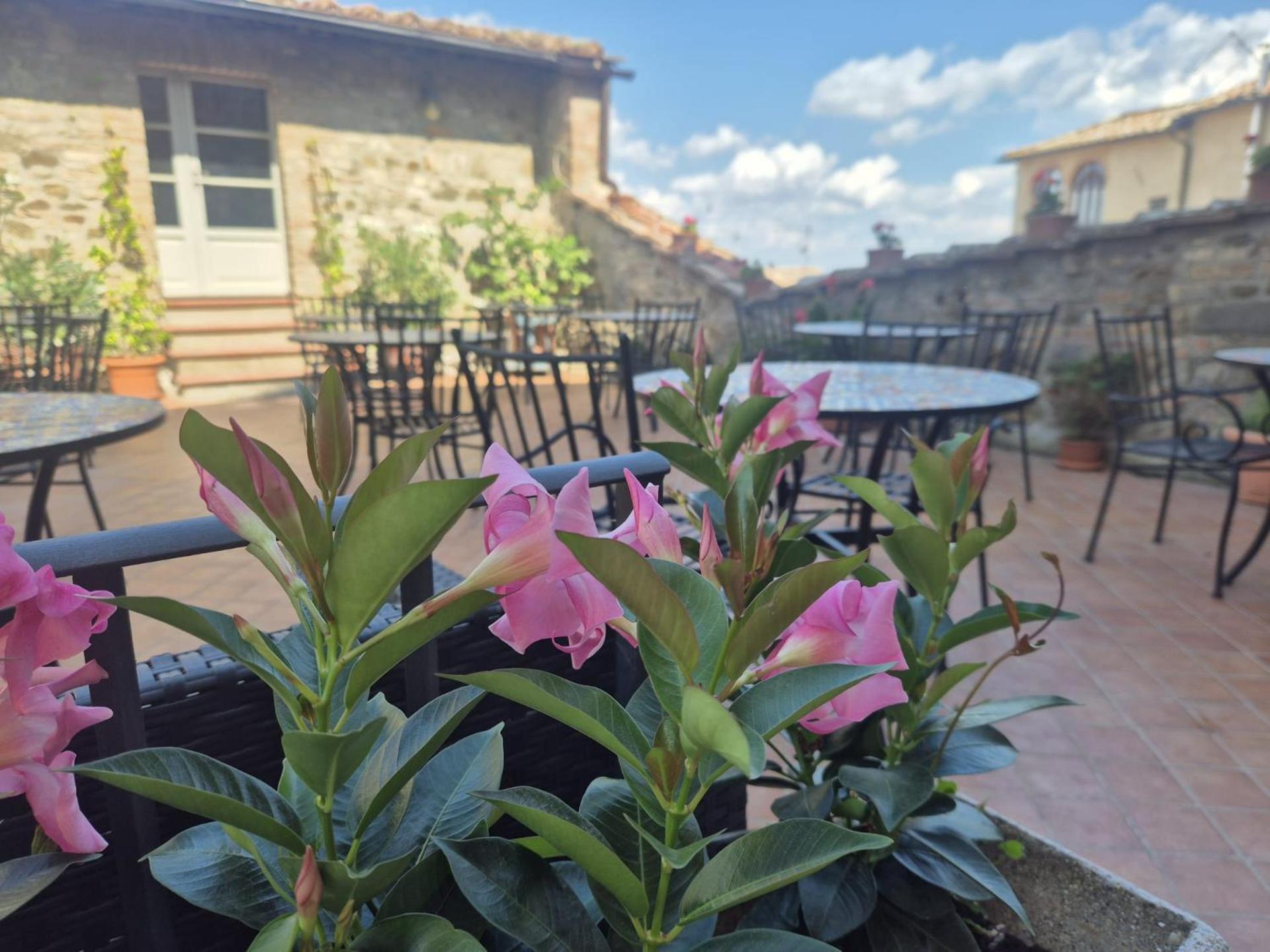 IL PALAZZO DEL CARDINALE