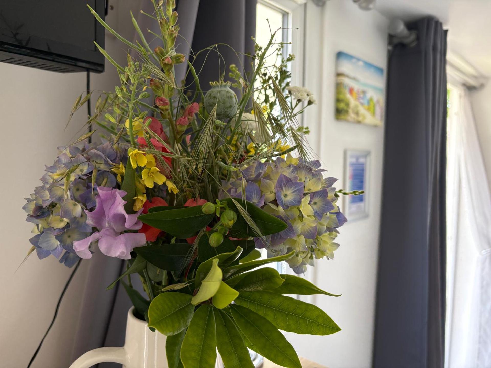 Cosy Cabin for Two with Lovely Countryside Views, Near Kingsbridge