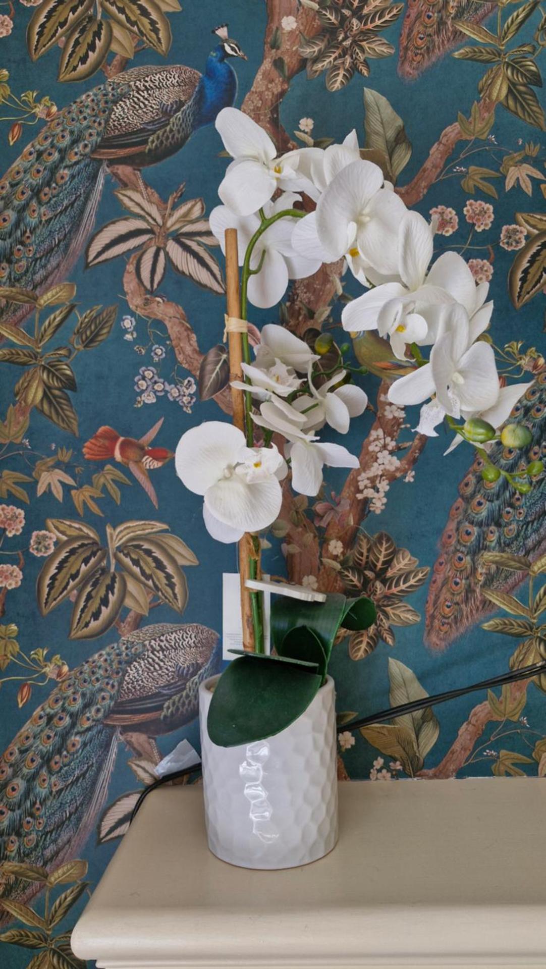 The Yoke B&B and Self-Catering Accommodation Laois