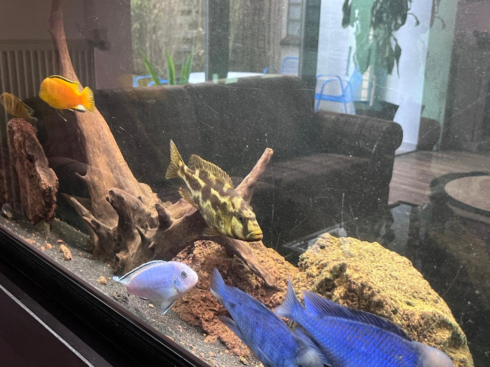 Wohnen im ehemaligen Kuhstall Stiehler Farm