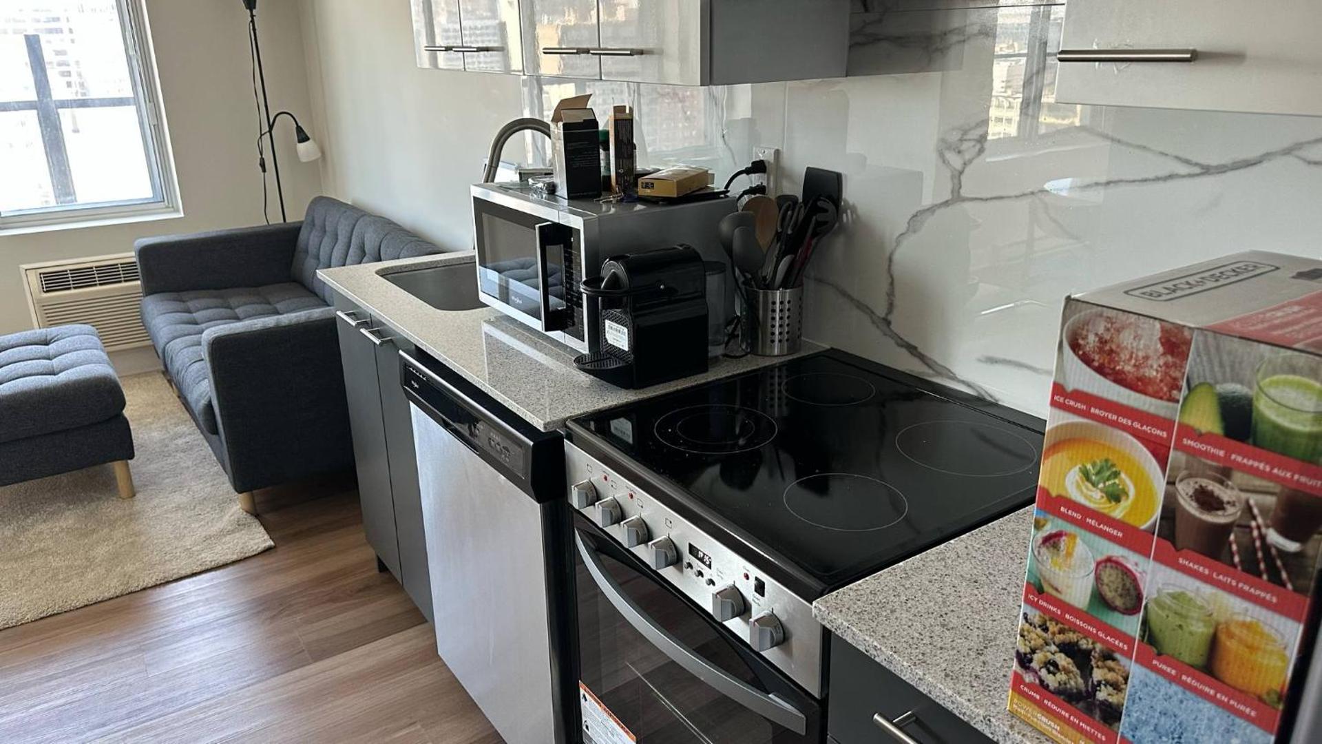 Great view 1BDRM APTR in heart of Montreal DWTN