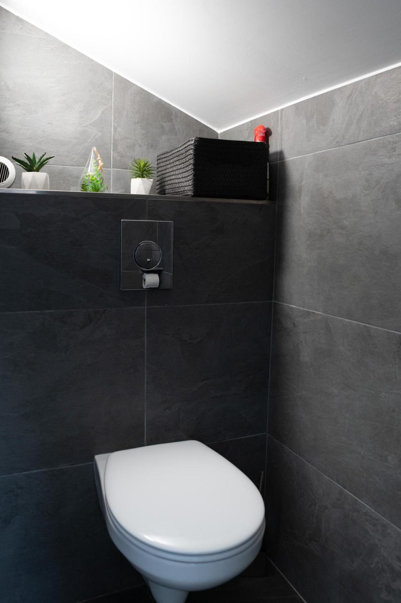 Duplex rénové parking gratuit Lyon 9