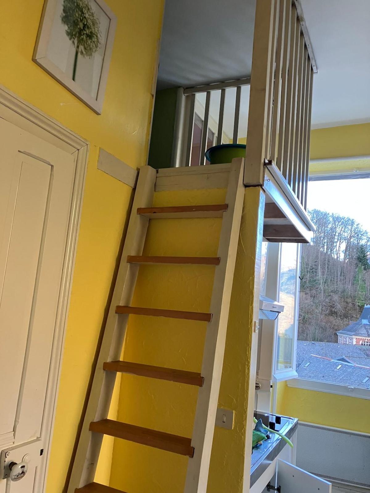 Cosy and bright apartment in Eaux-Bonnes center