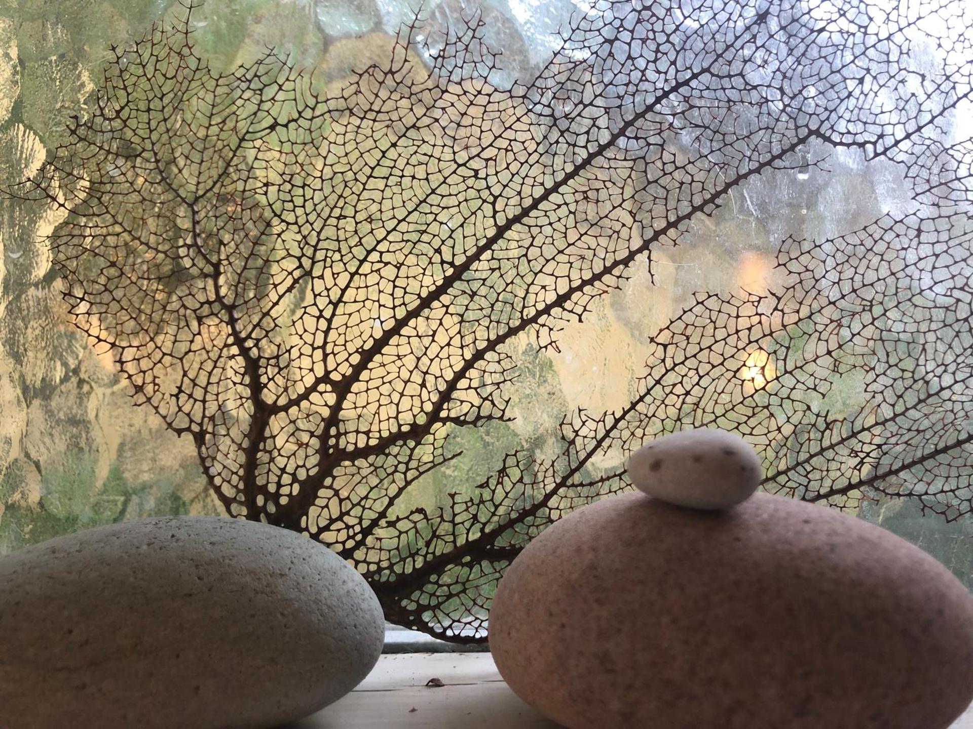 Suite med egen indgang og bad