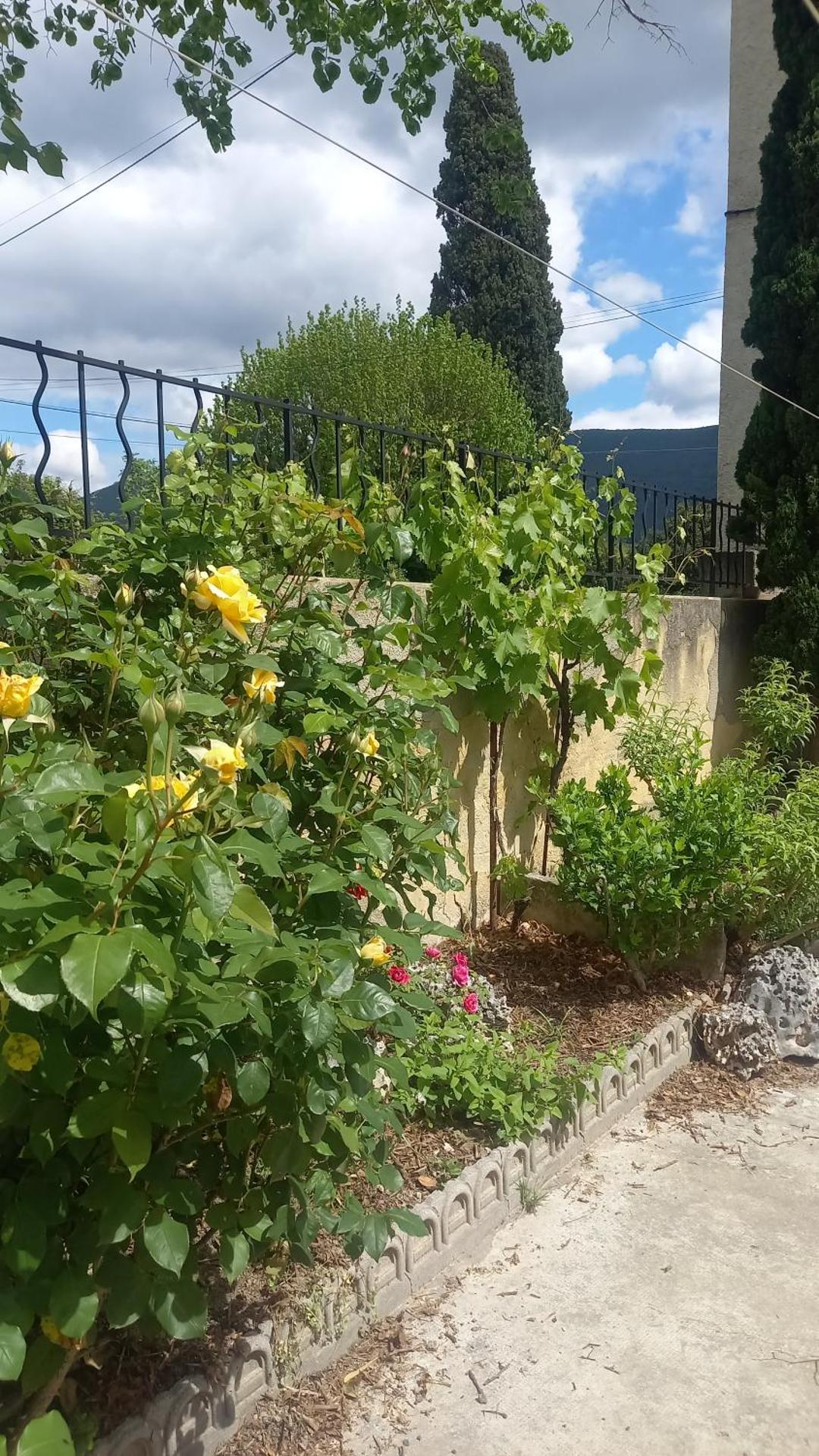 Inner courtyard view